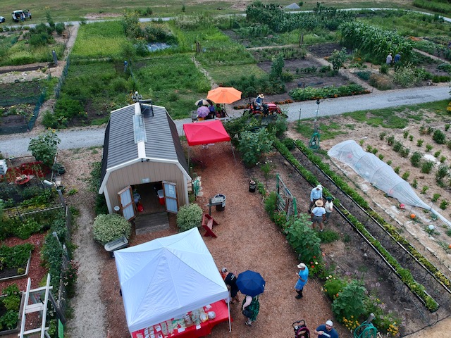 DJI_0330.jpg