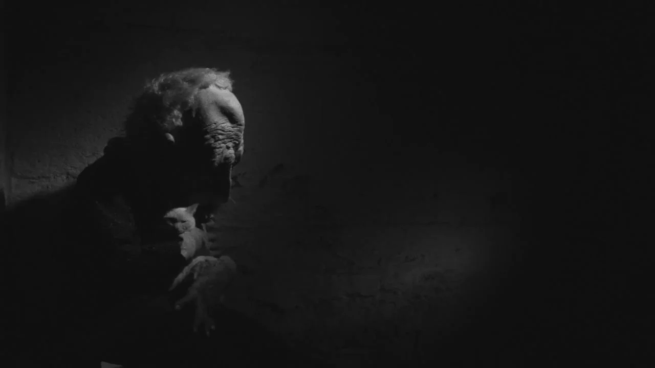 ALPACA - a visual poem