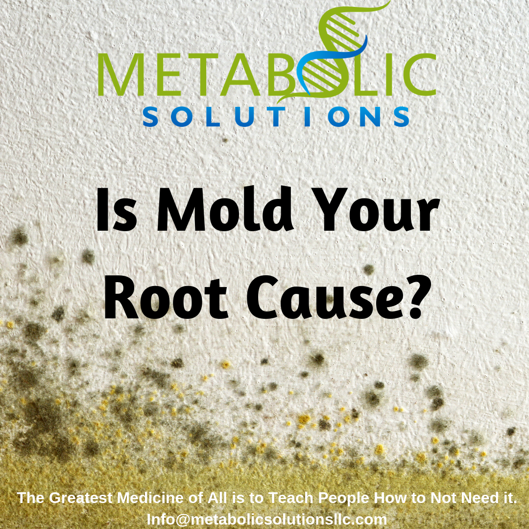 Is Mold Your Root Cause?
