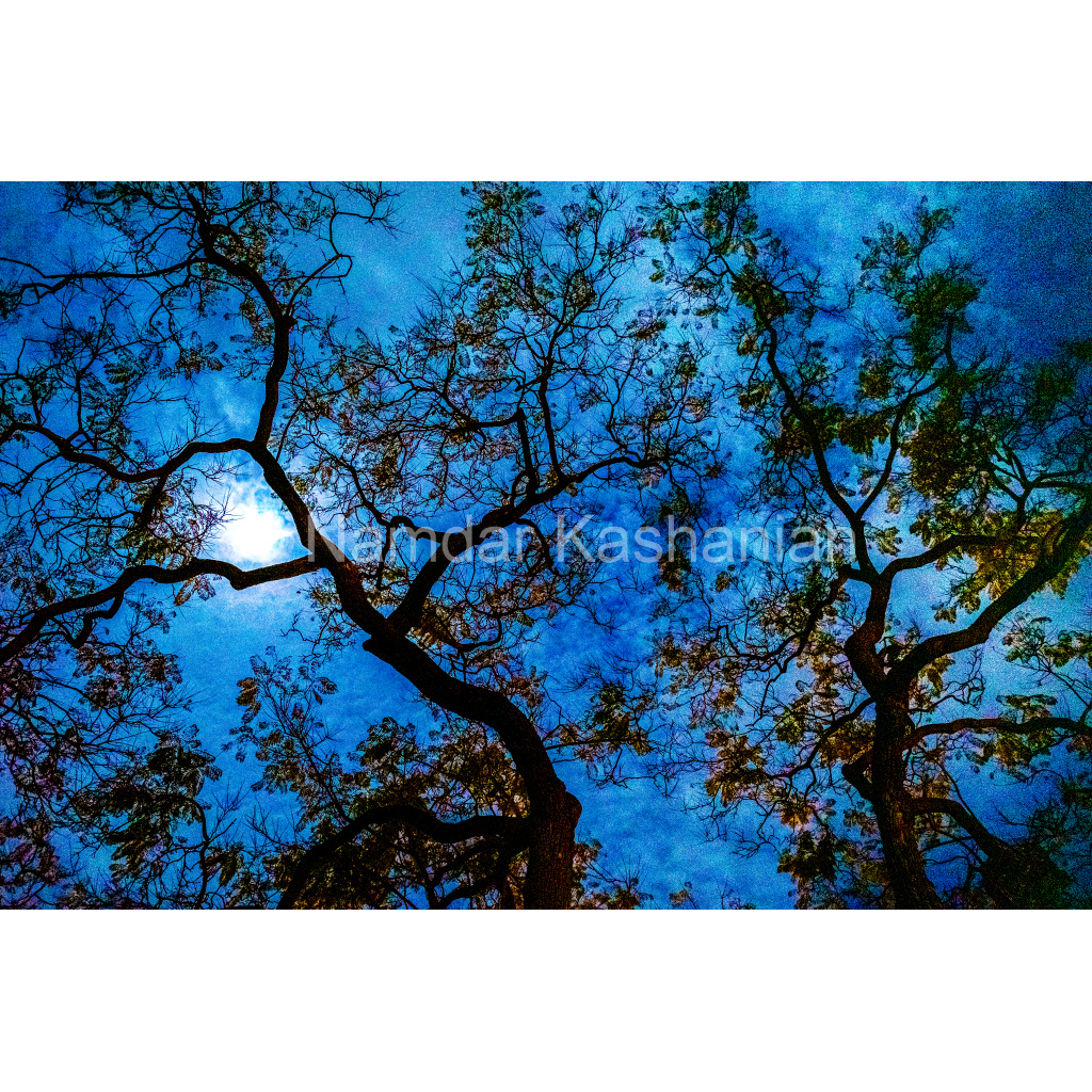 image_original_28f8210ba7aed9b6aeb7cdb82c17e563.png