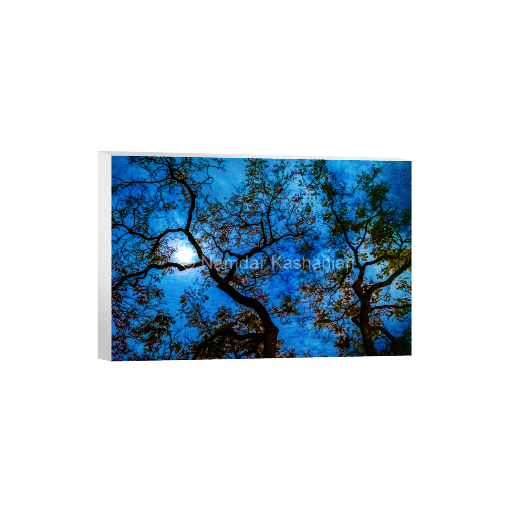 ptq_7_3_0_0_6000_4000_0_false_ffffff_0_0_28f8210ba7aed9b6aeb7cdb82c17e563.png