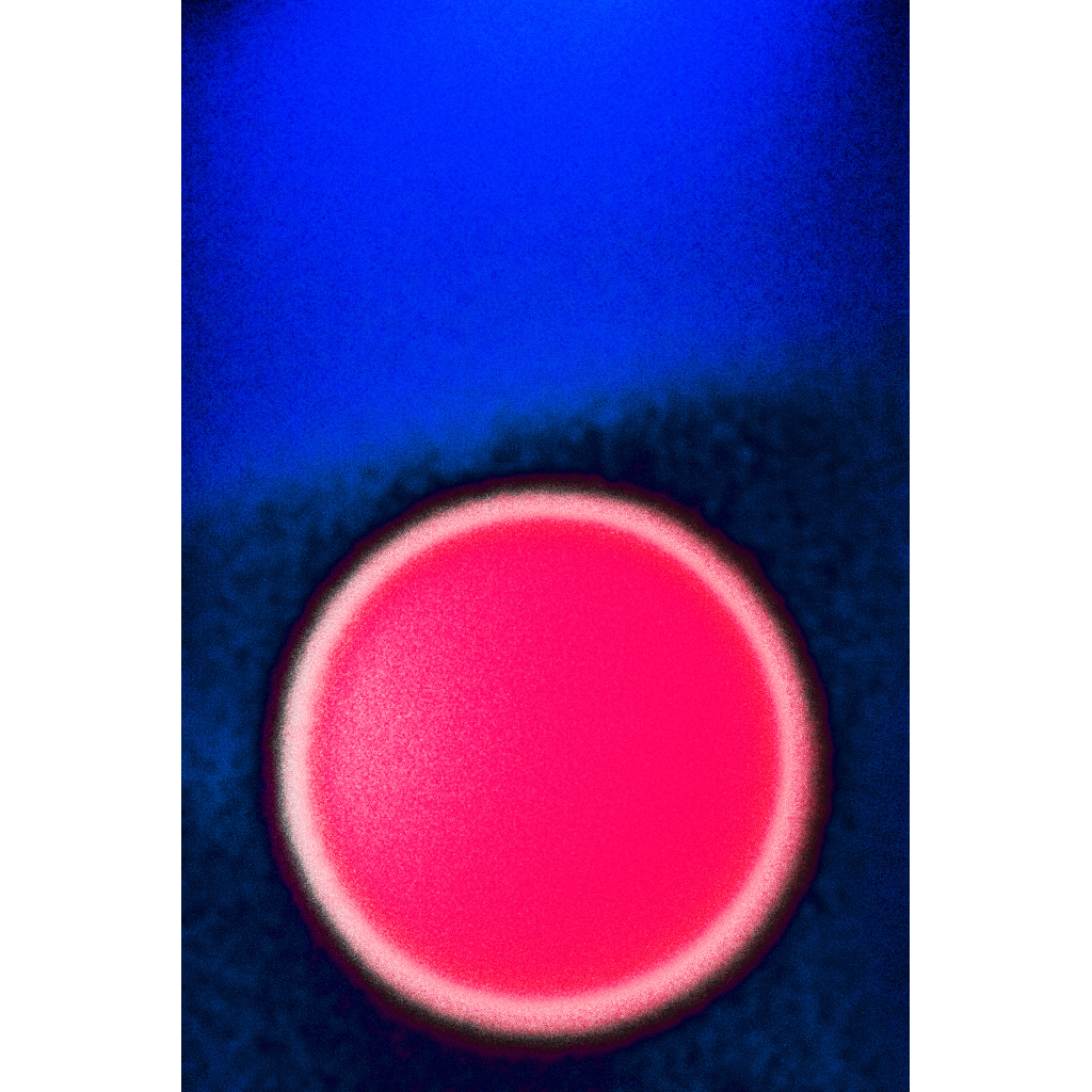 image_original_.png