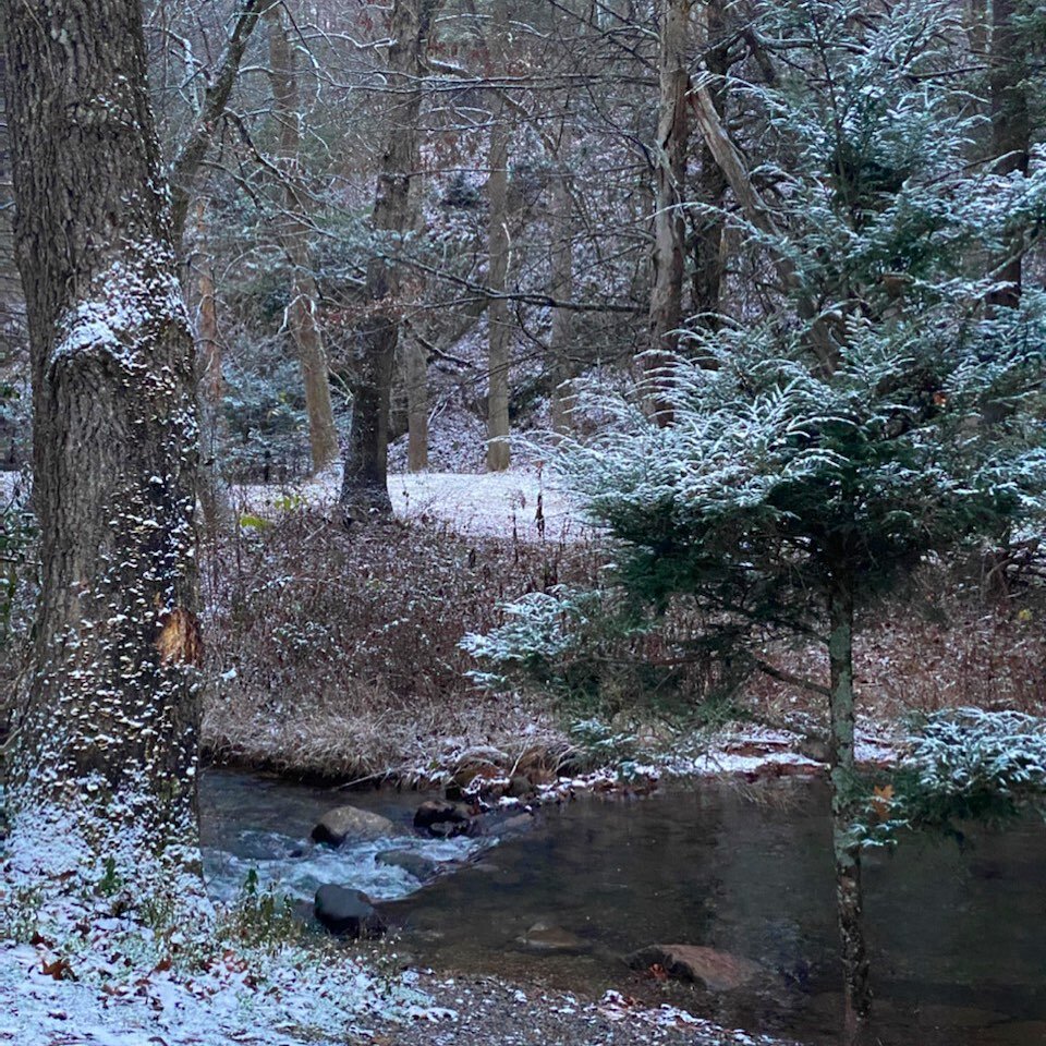 The first dusting of the season at #campbearwallow ❄️