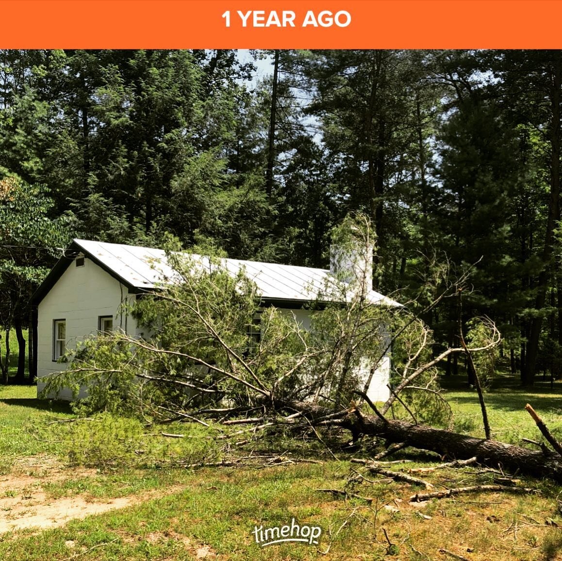 A year ago today, we had tree fall @campbearwallow. 
Thankfully it barely brushed the cabin, and did minimal damage. 
Better yet, Dry River Tree Service was right on it! 
They cleaned up the mess, left the firewood to season for future guests, and ev