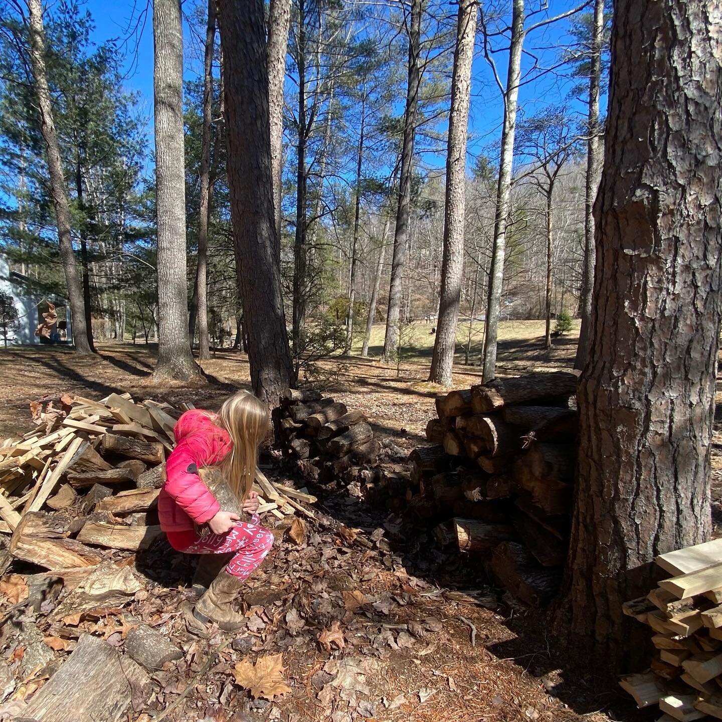 Host-kid, seven year old Annalisa, loves the long lunch break in Virtual School to help with hosting duties. 😍 🪵 🔥 
#airbnbhostkid #hostintraining 
#twohourlunchbreak 
#middayfun 
#firewoodstacking 
#campbearwallow 
#annalisakay
#airbnbhost #airbn