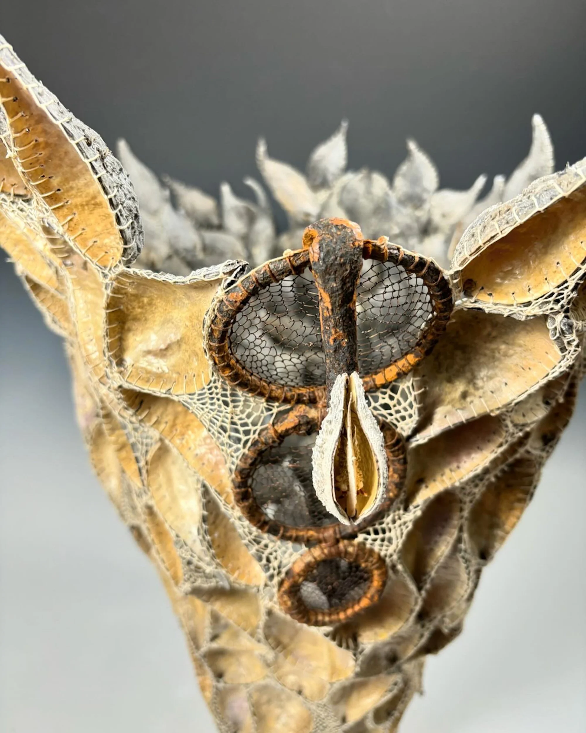 80th Annual Wabash Valley Exhibition