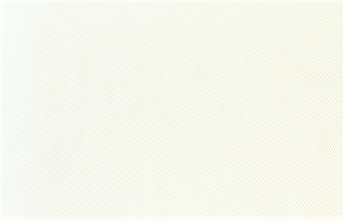 white net lined.png