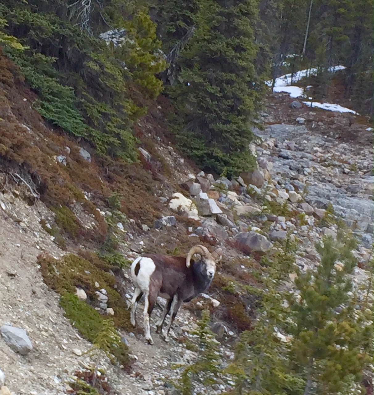 image6.jpeg