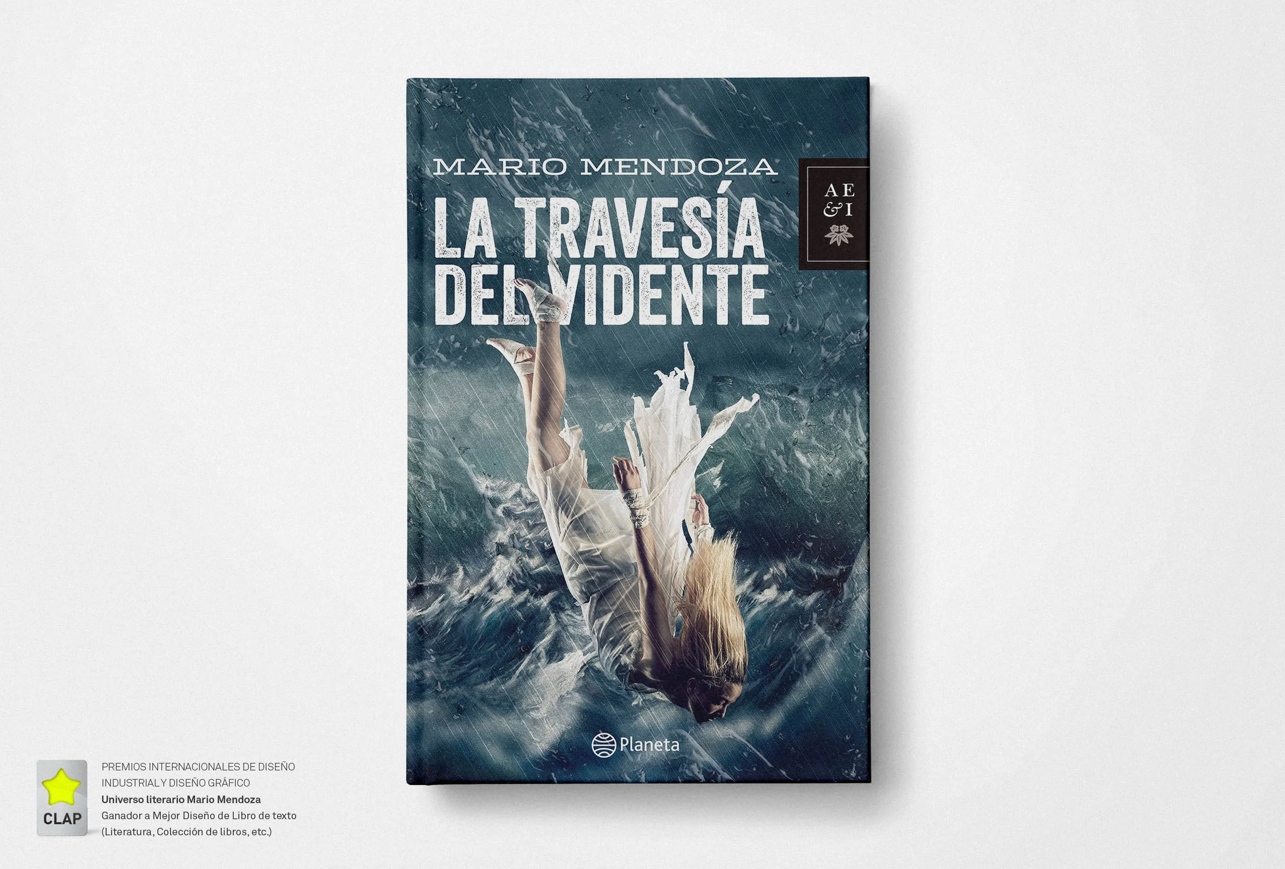 Travesia_vidente_book_cover.jpg