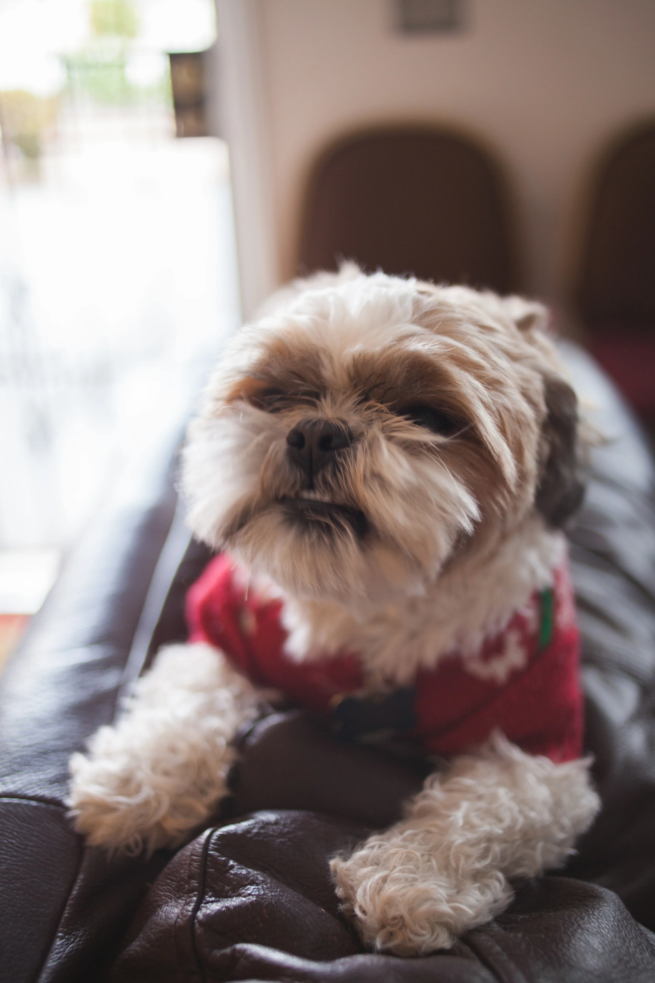 Yogi's always hungry.