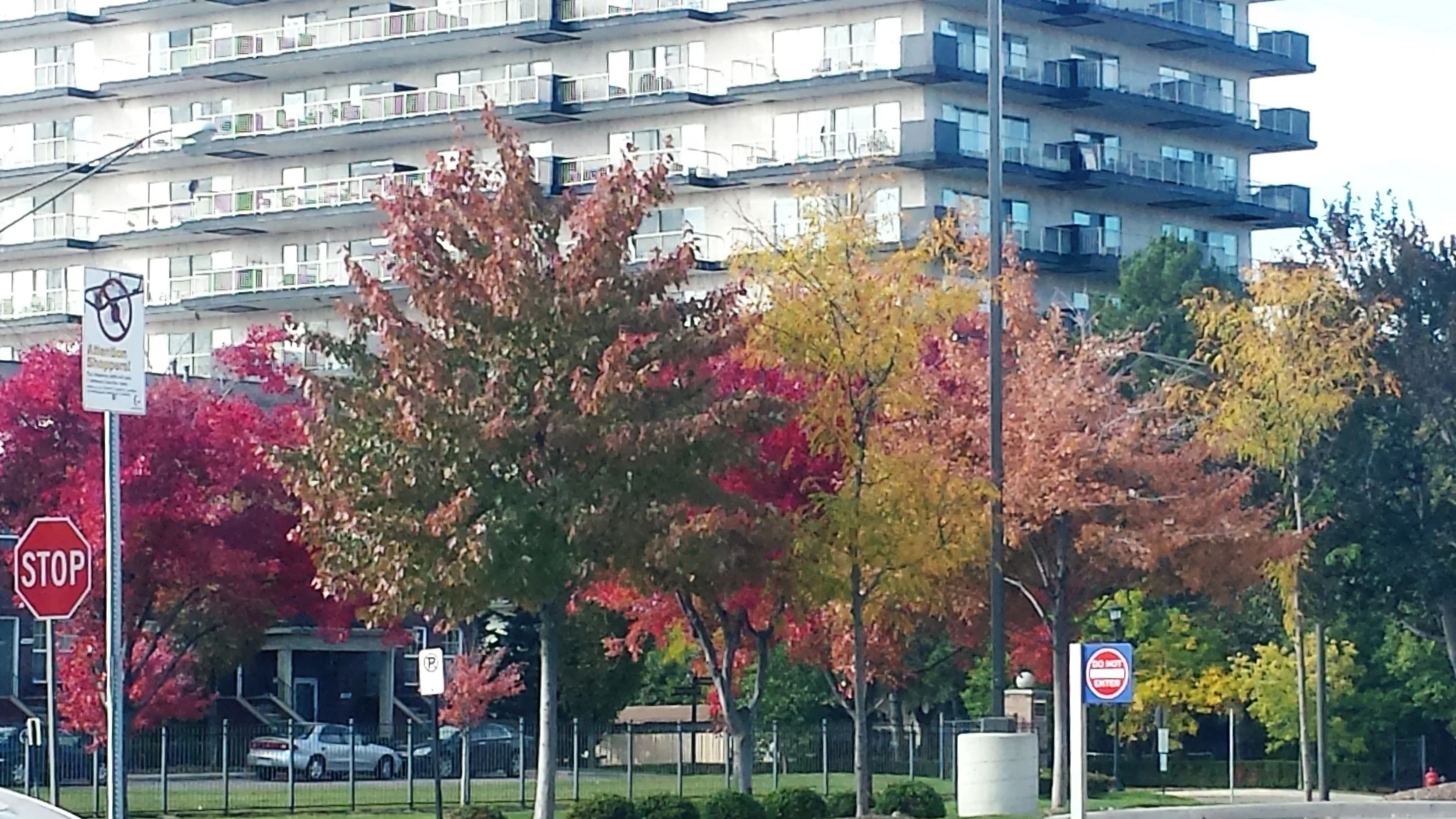 20141012_105043(1).jpg