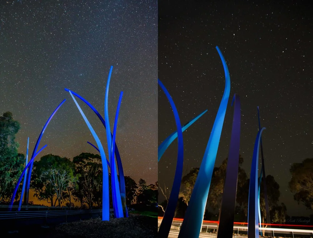 Neerim South - The Neerim Bower Inspired by Biards