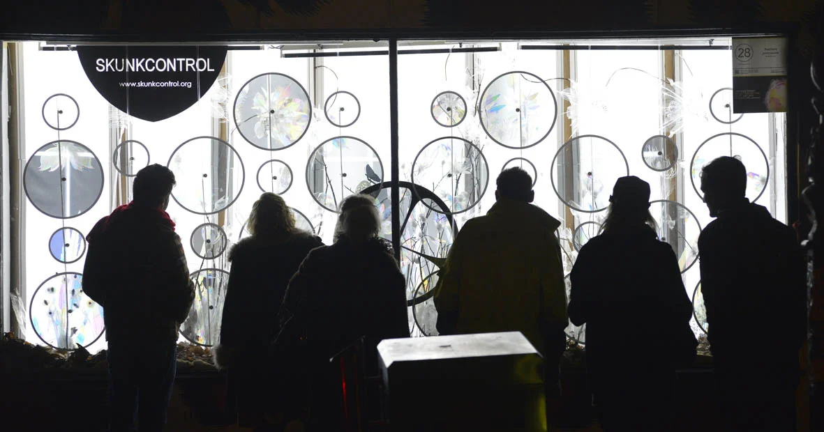 Artist Skunk Control, Image Bernie Phelan 2014