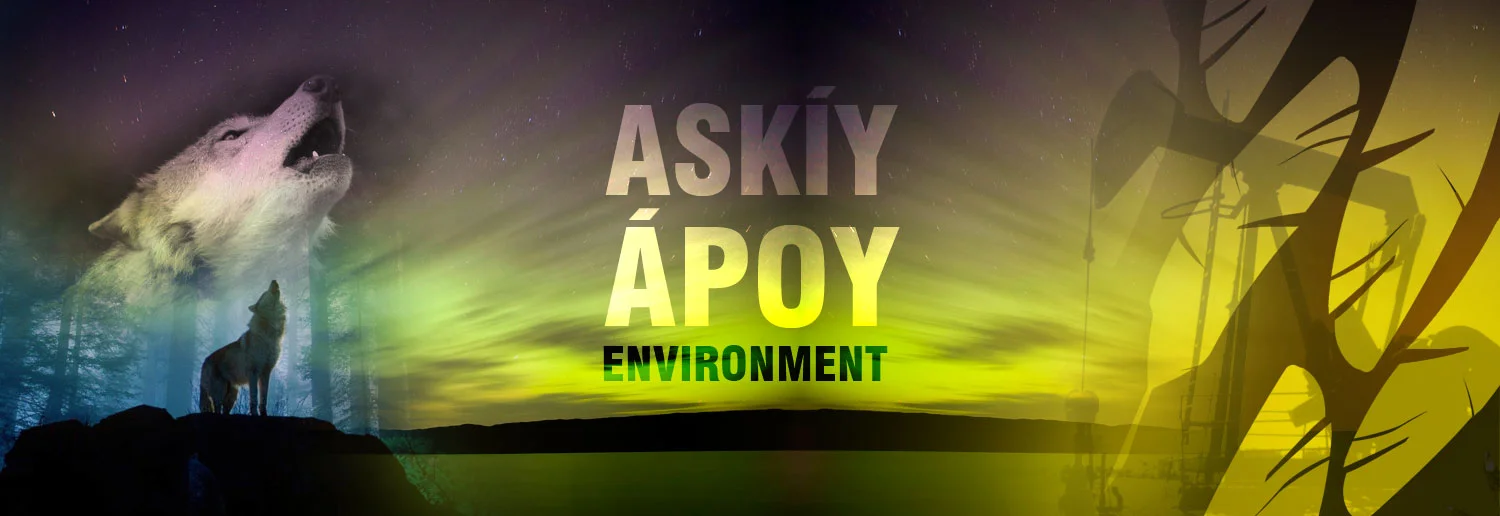 askiy_envir--header.jpg
