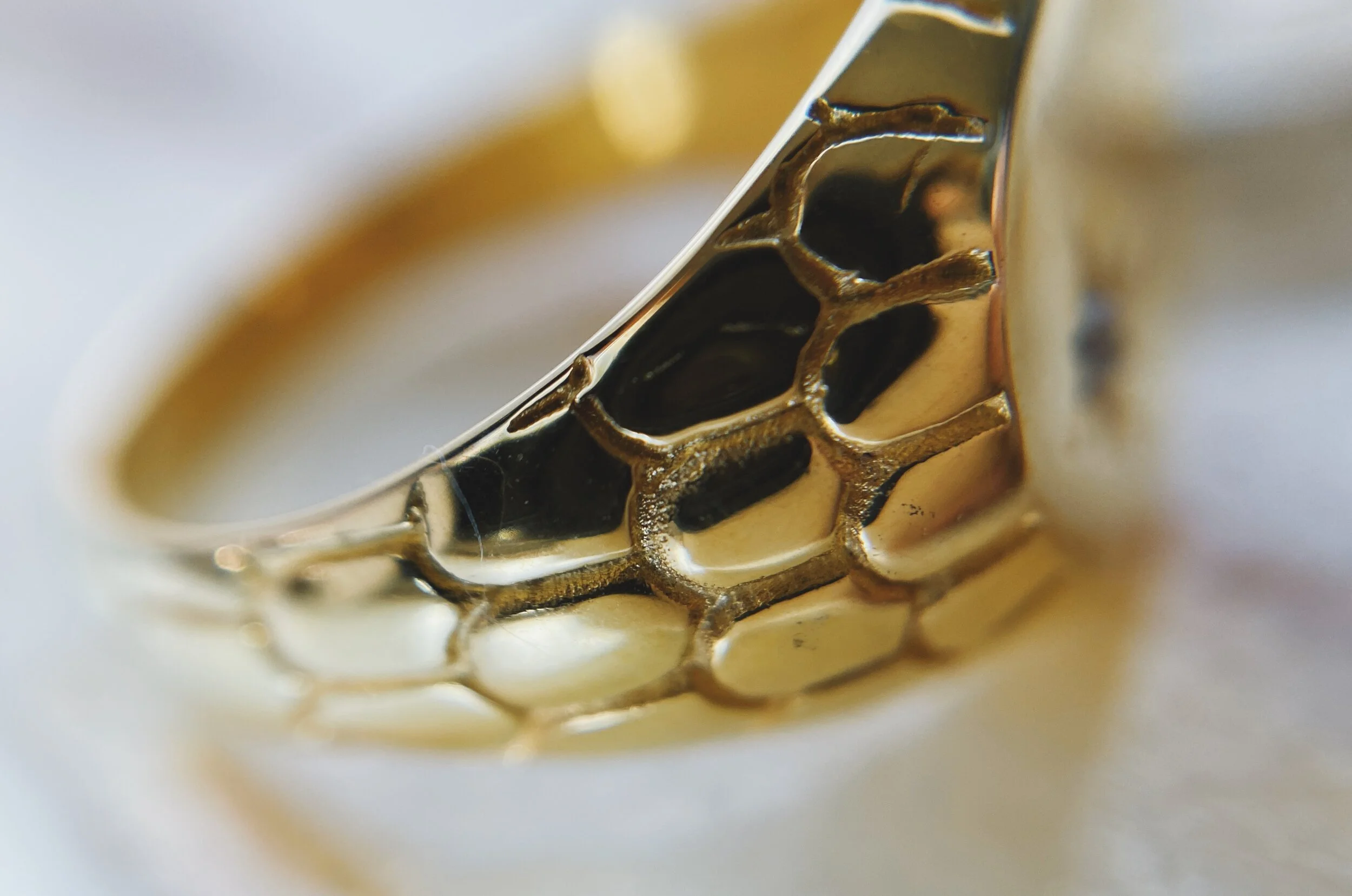 95950758-2370-416F-A974-122F9BDBCA58