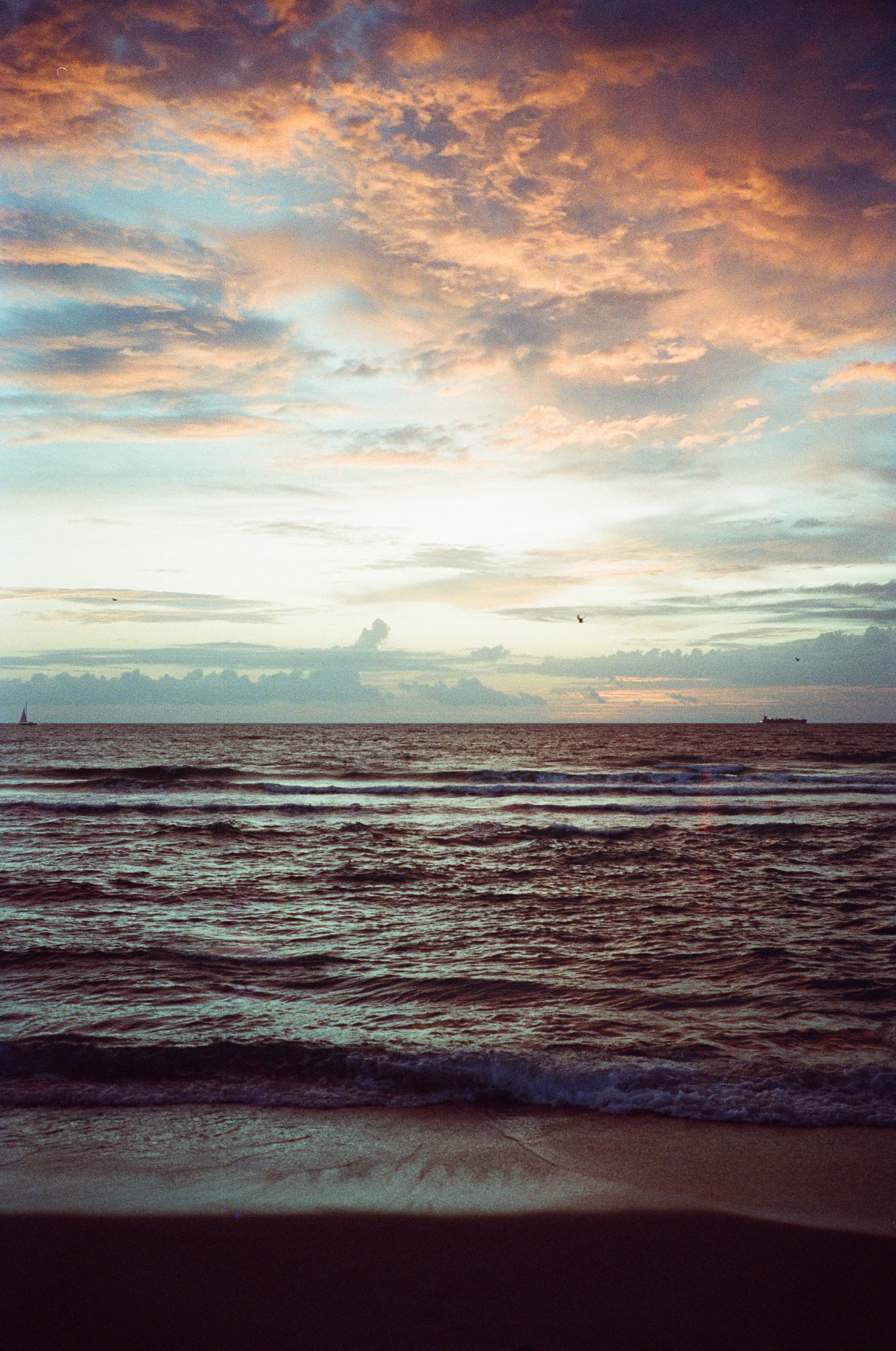 Untitled-220.jpg