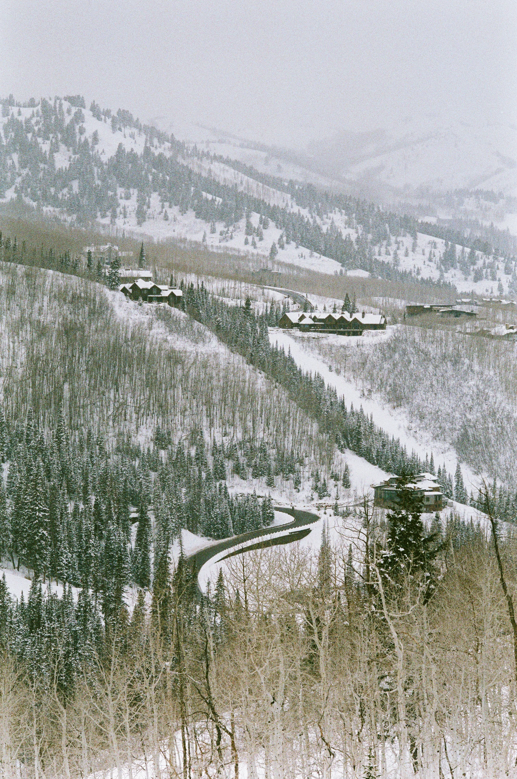 Untitled-84.jpg