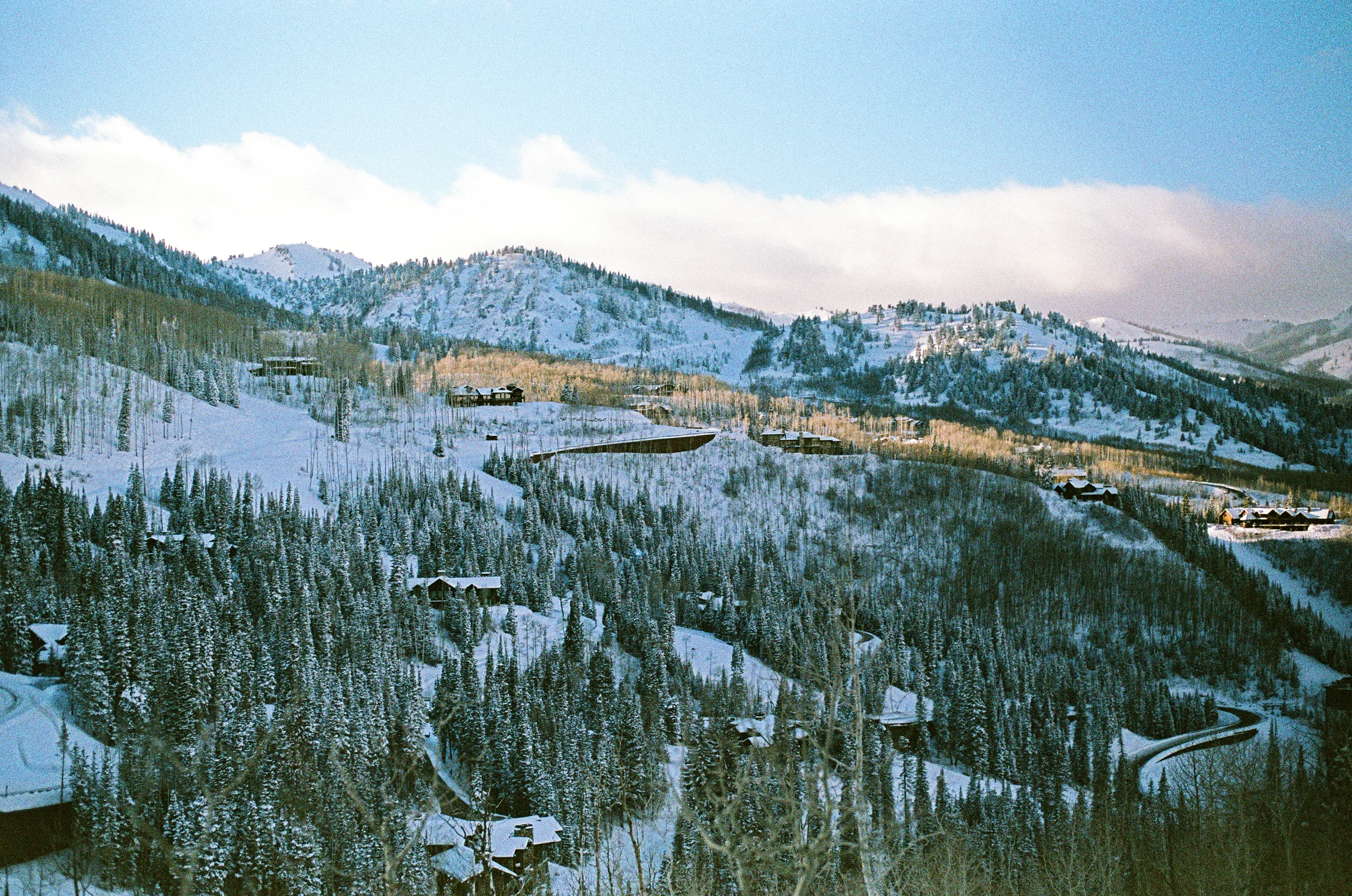 Untitled-61.jpg