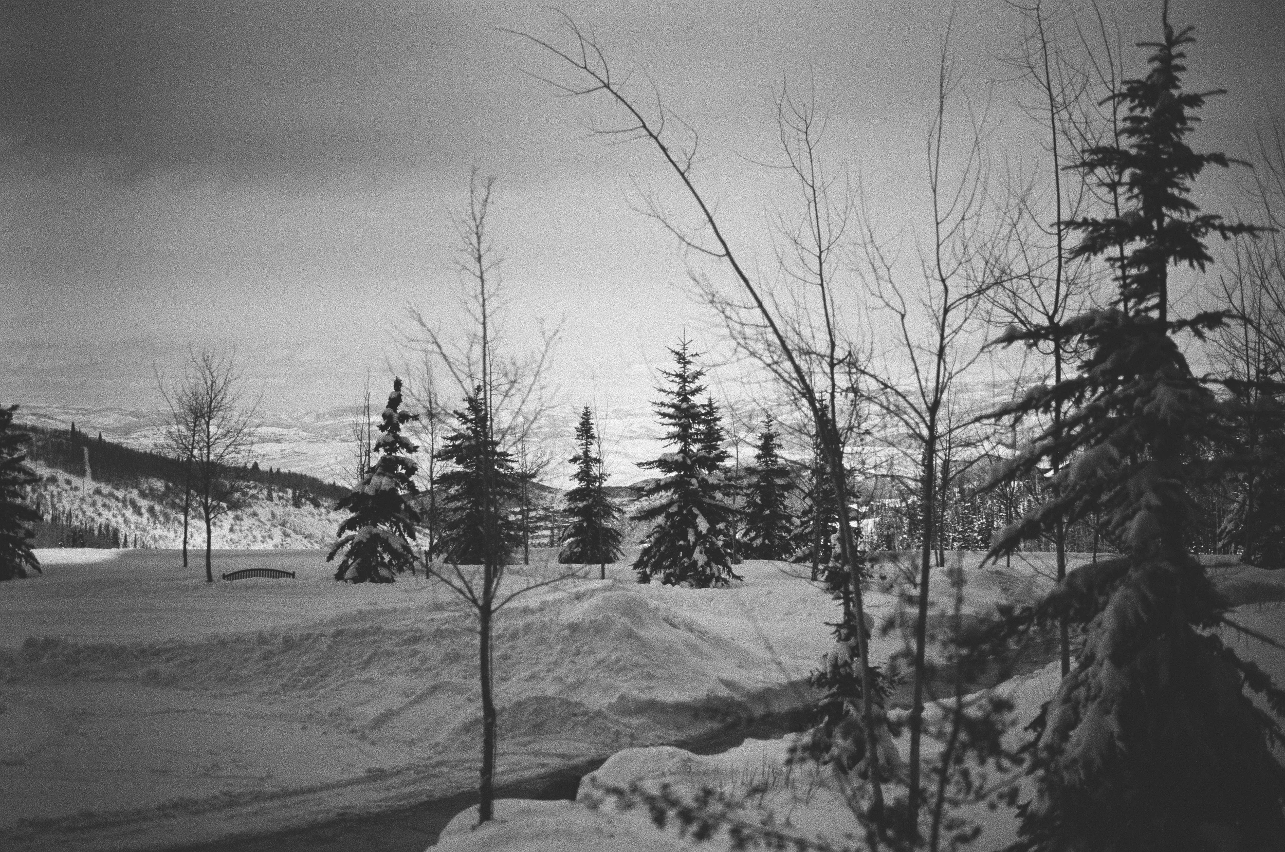 Untitled-16.jpg