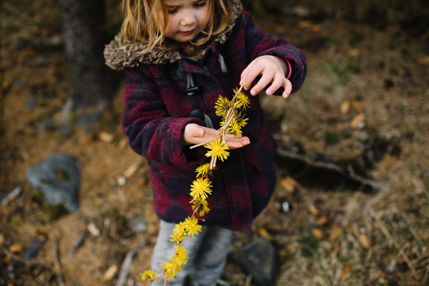 breanna peterson-1-17.jpg