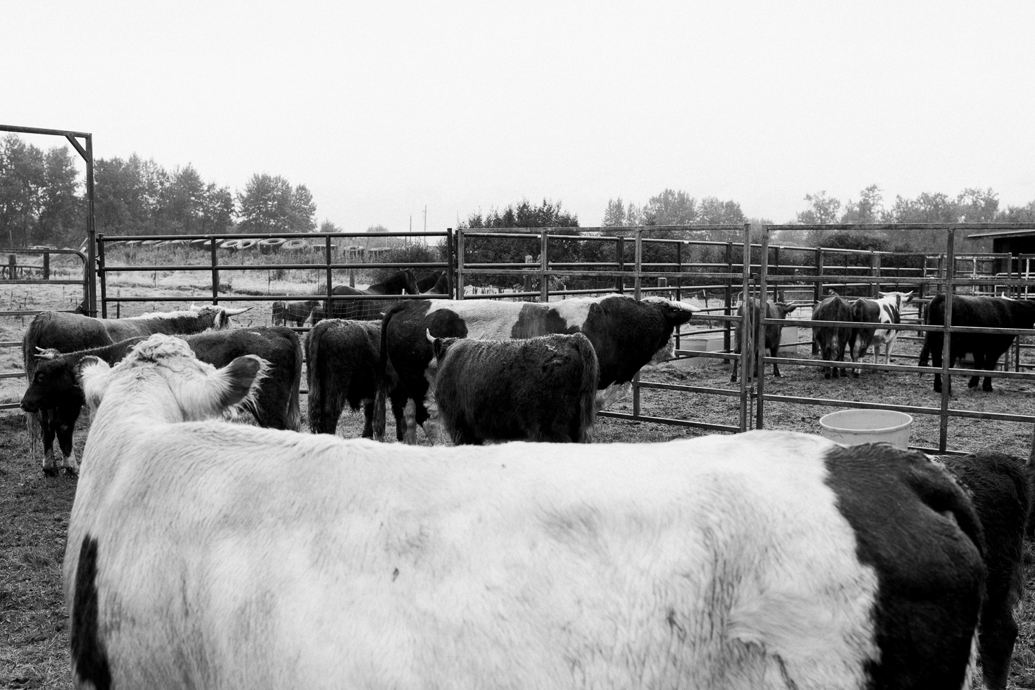 rodeo-family-in-alaska_18.jpg