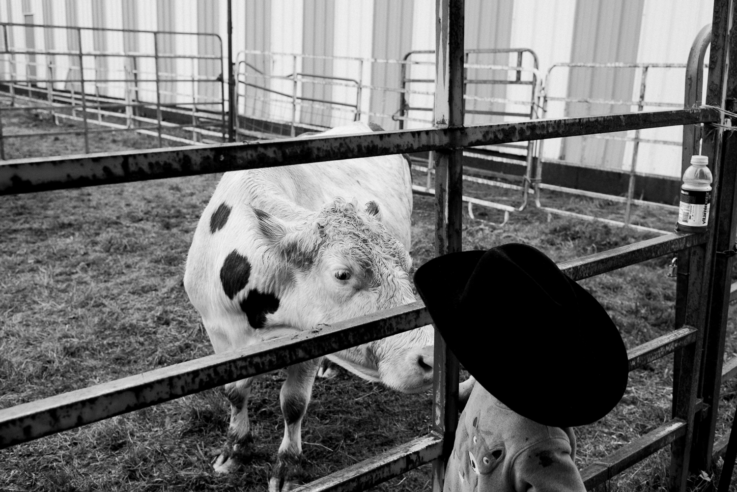 rodeo-family-in-alaska_19.jpg