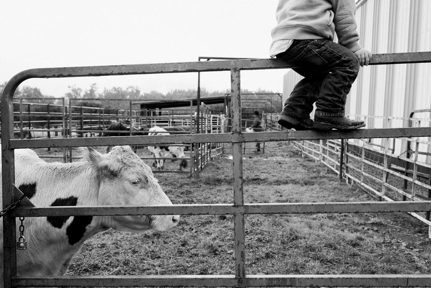 rodeo-family-in-alaska_23.jpg