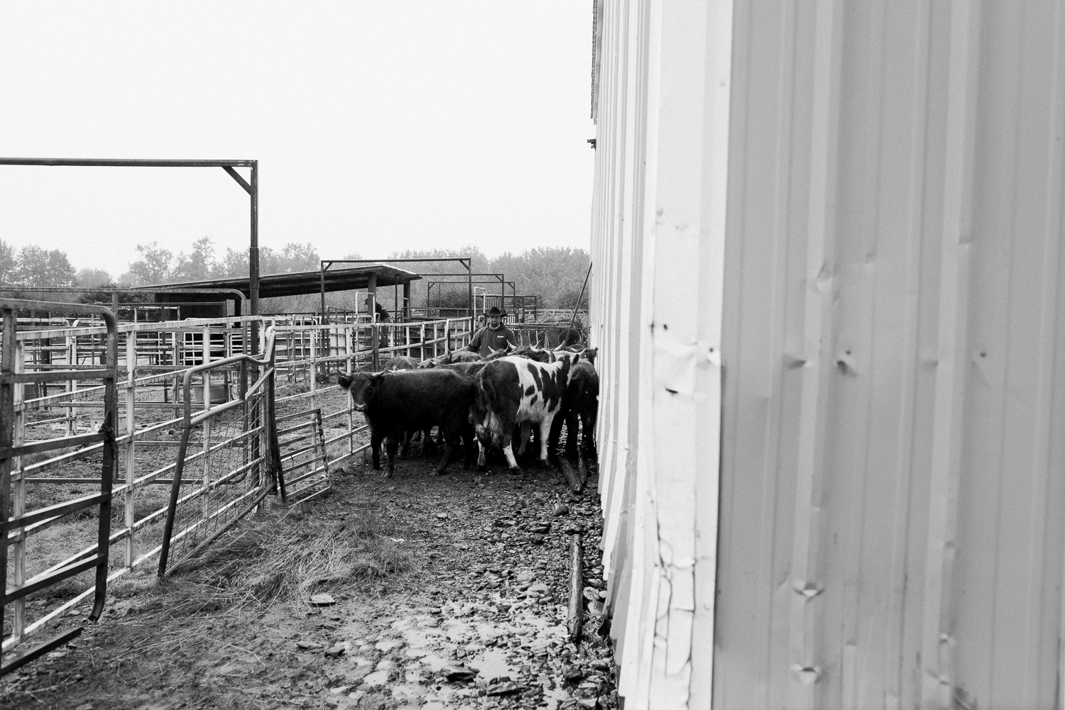 rodeo-family-in-alaska_24.jpg