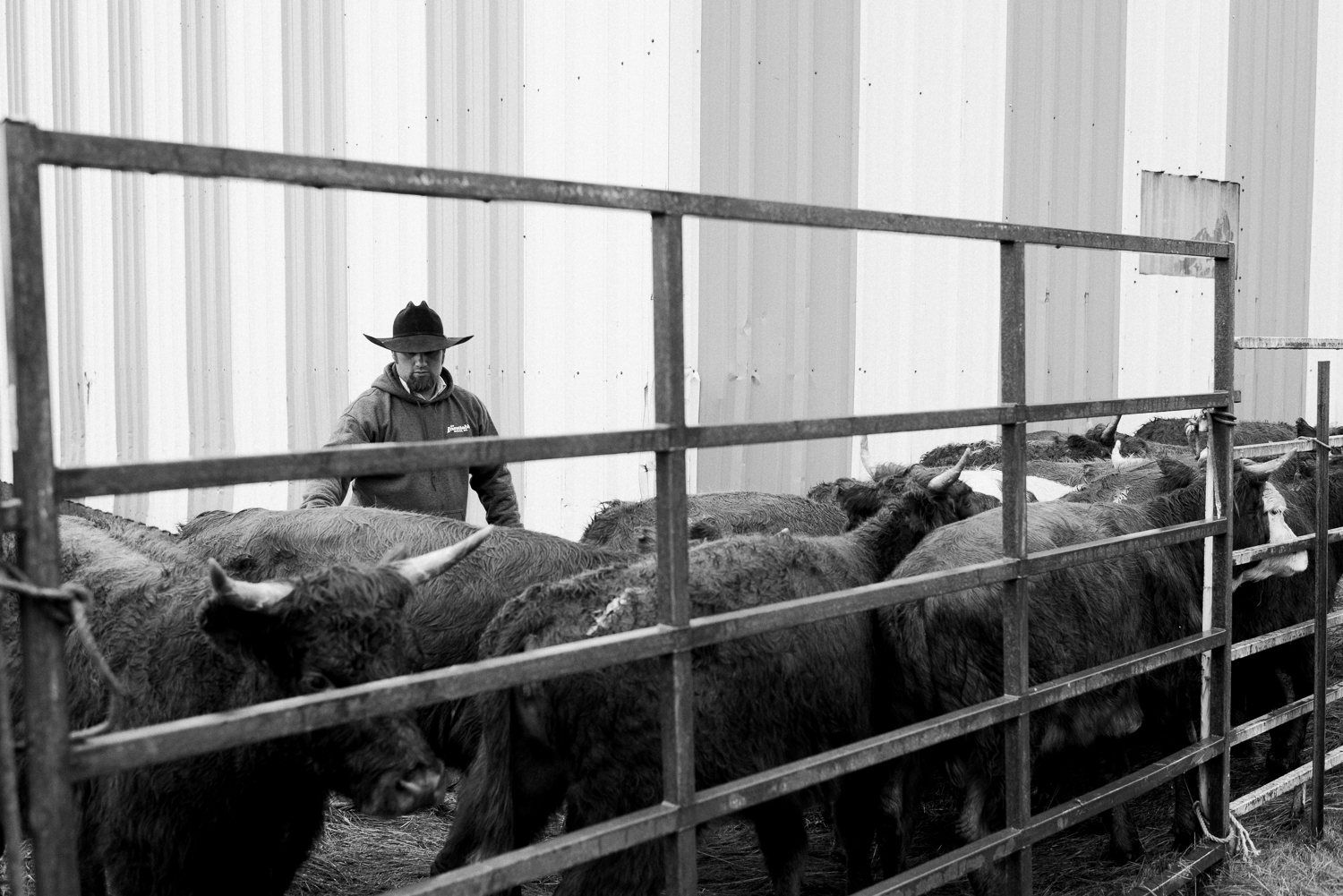 rodeo-family-in-alaska_25.jpg