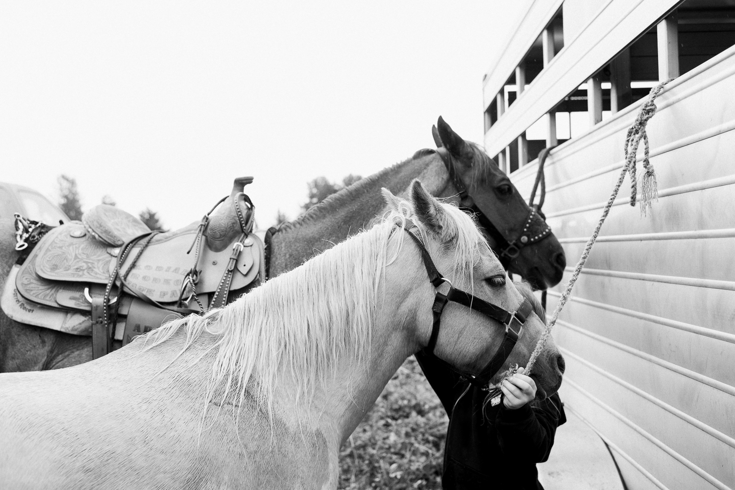 rodeo-family-in-alaska_30.jpg