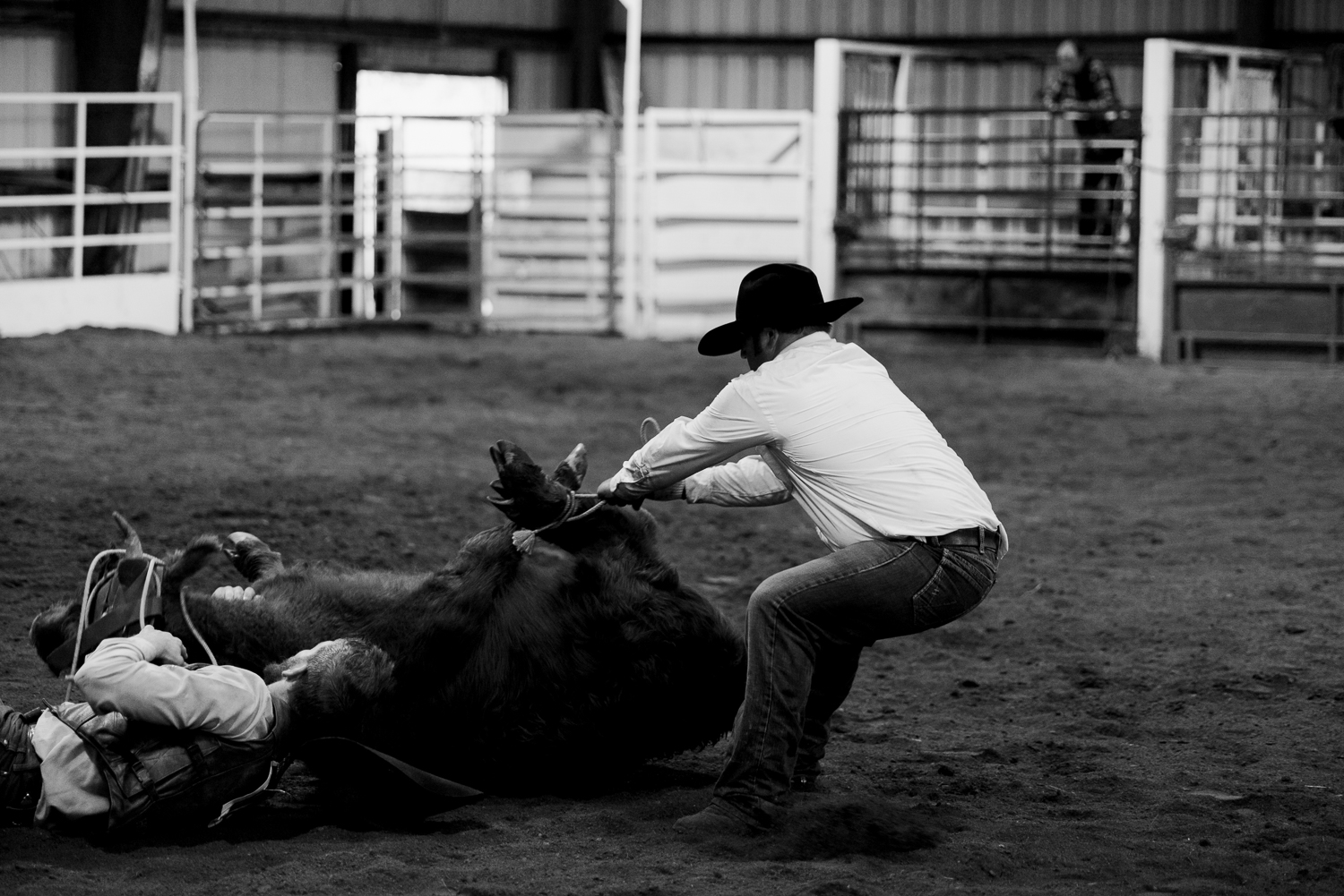 rodeo-family-in-alaska_56.jpg