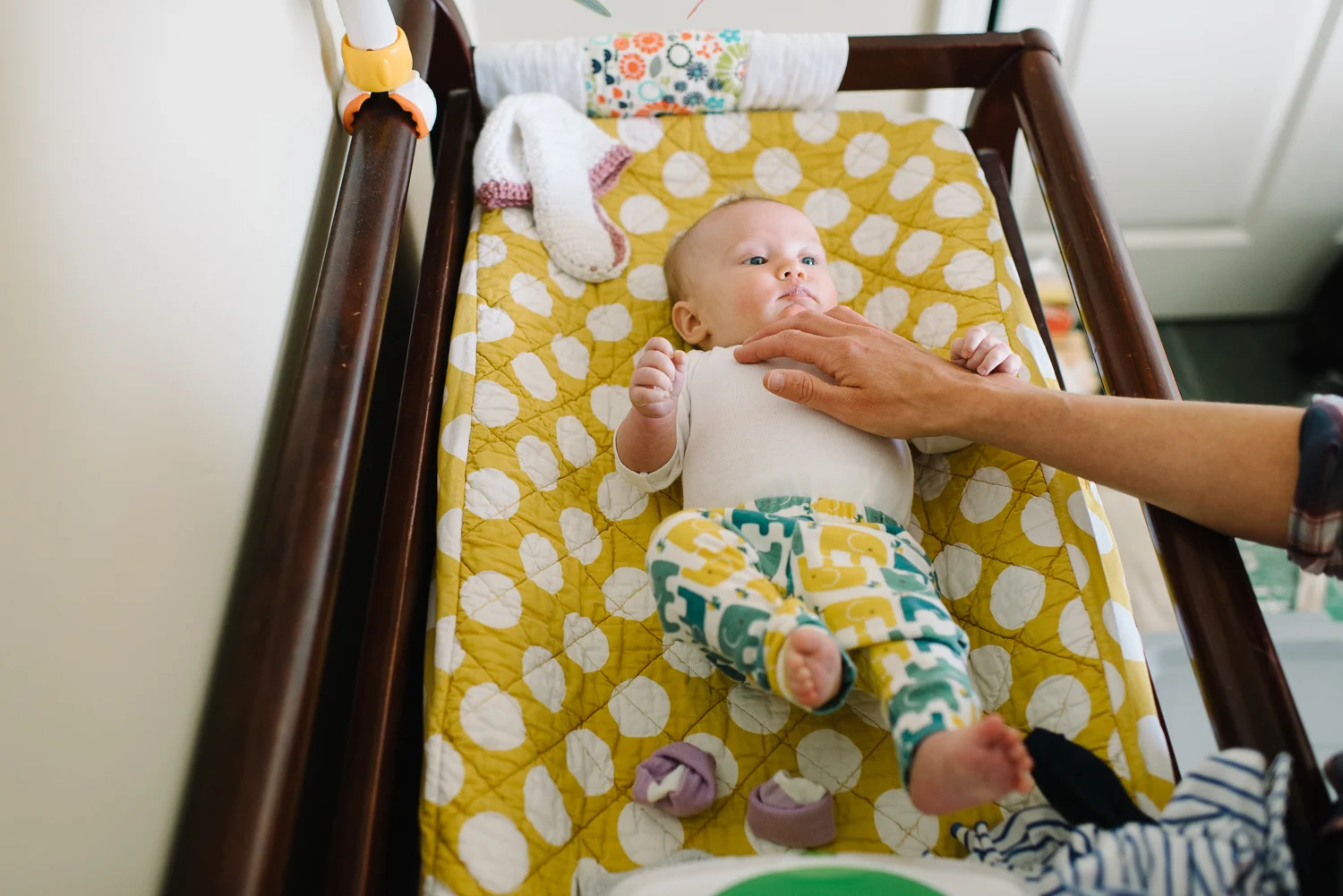 breannapeterson.com_alaska family photographer_09.jpg