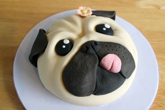 black pug cake