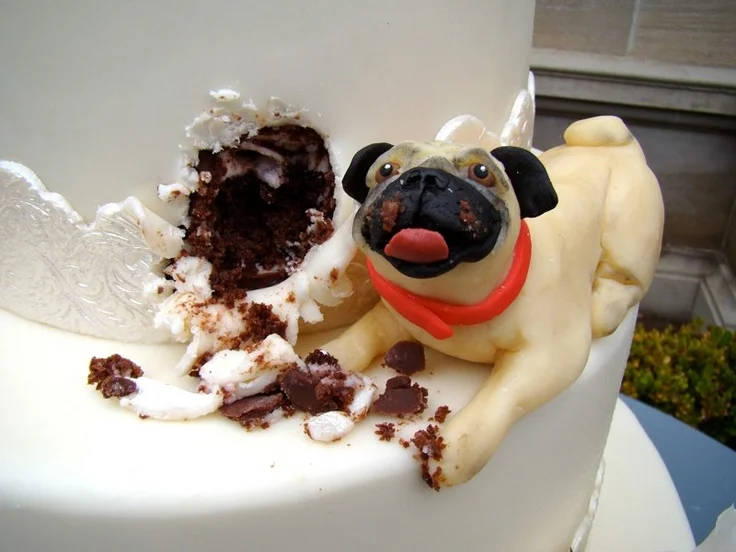 pug dog cakes