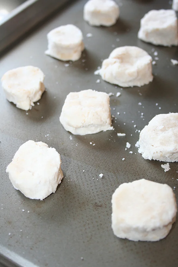 webcocoshortbread5.jpg