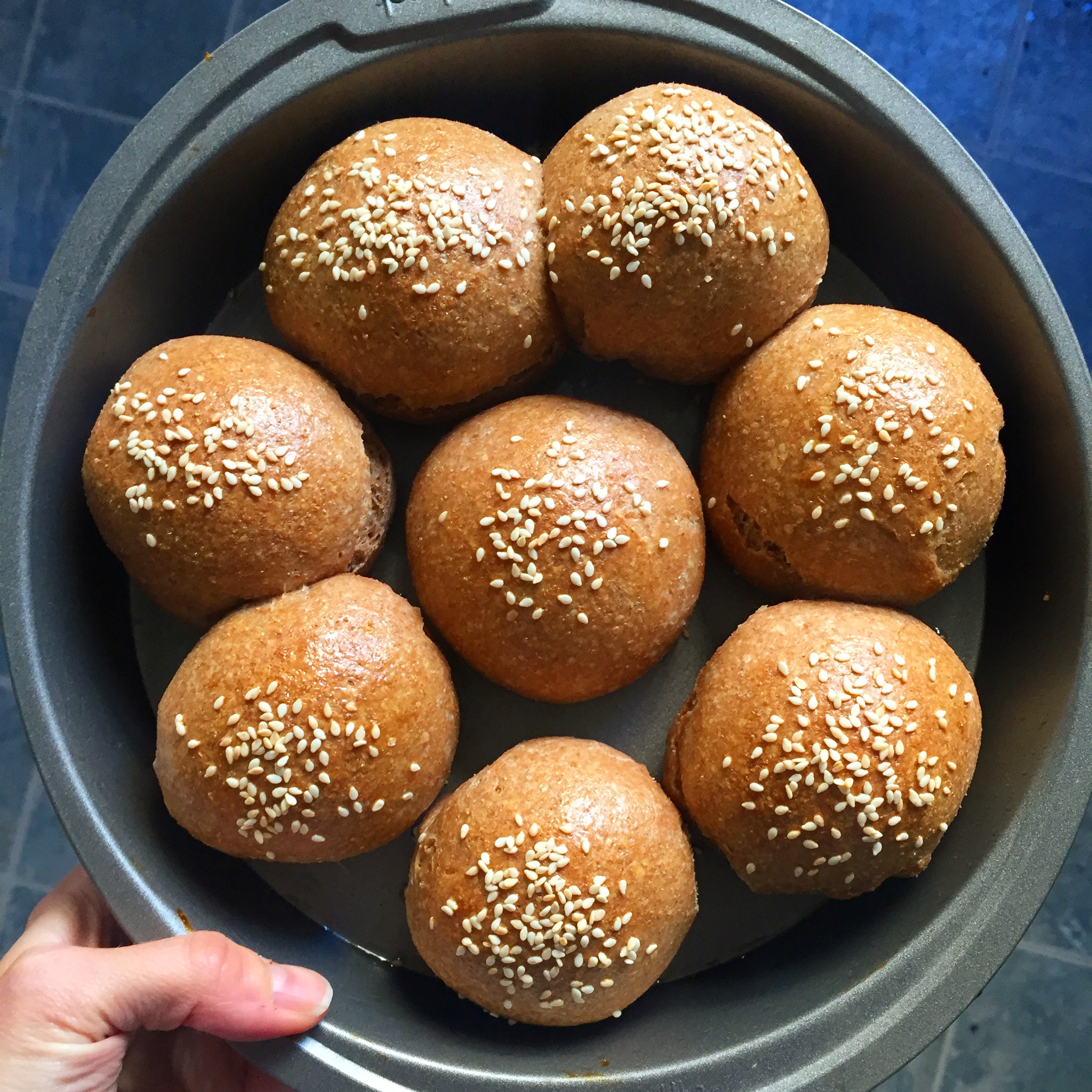 Small Batch Fluffy Whole Wheat Dinner Rolls — Jessie Unicorn Moore