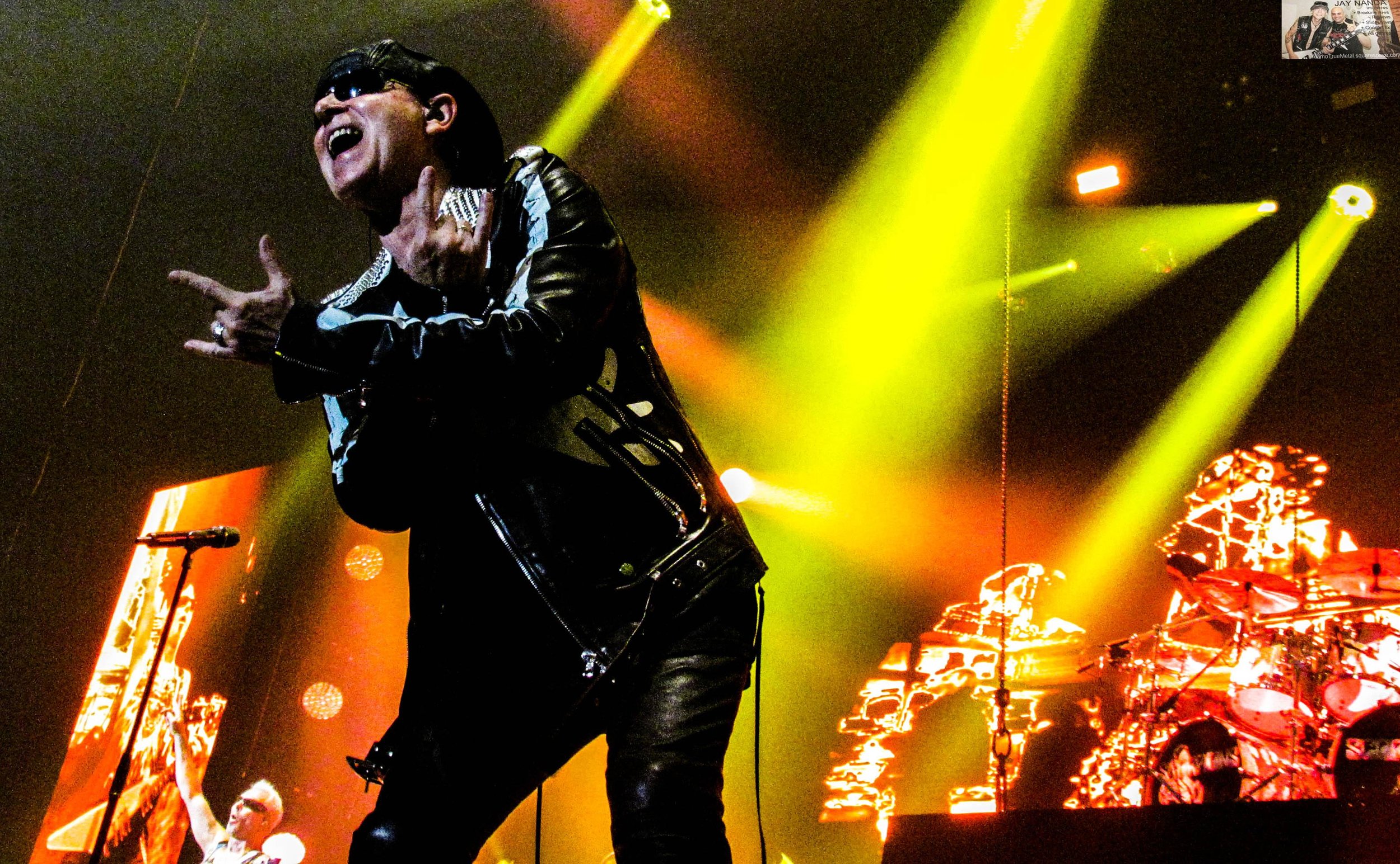 Scorpions 64.jpg