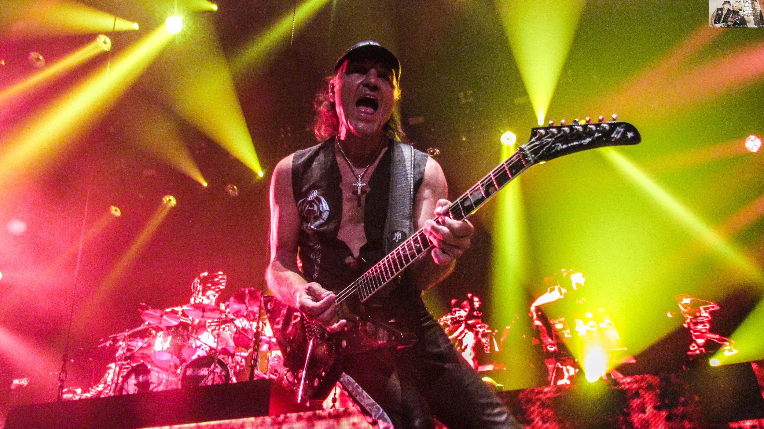 Scorpions 60.jpg