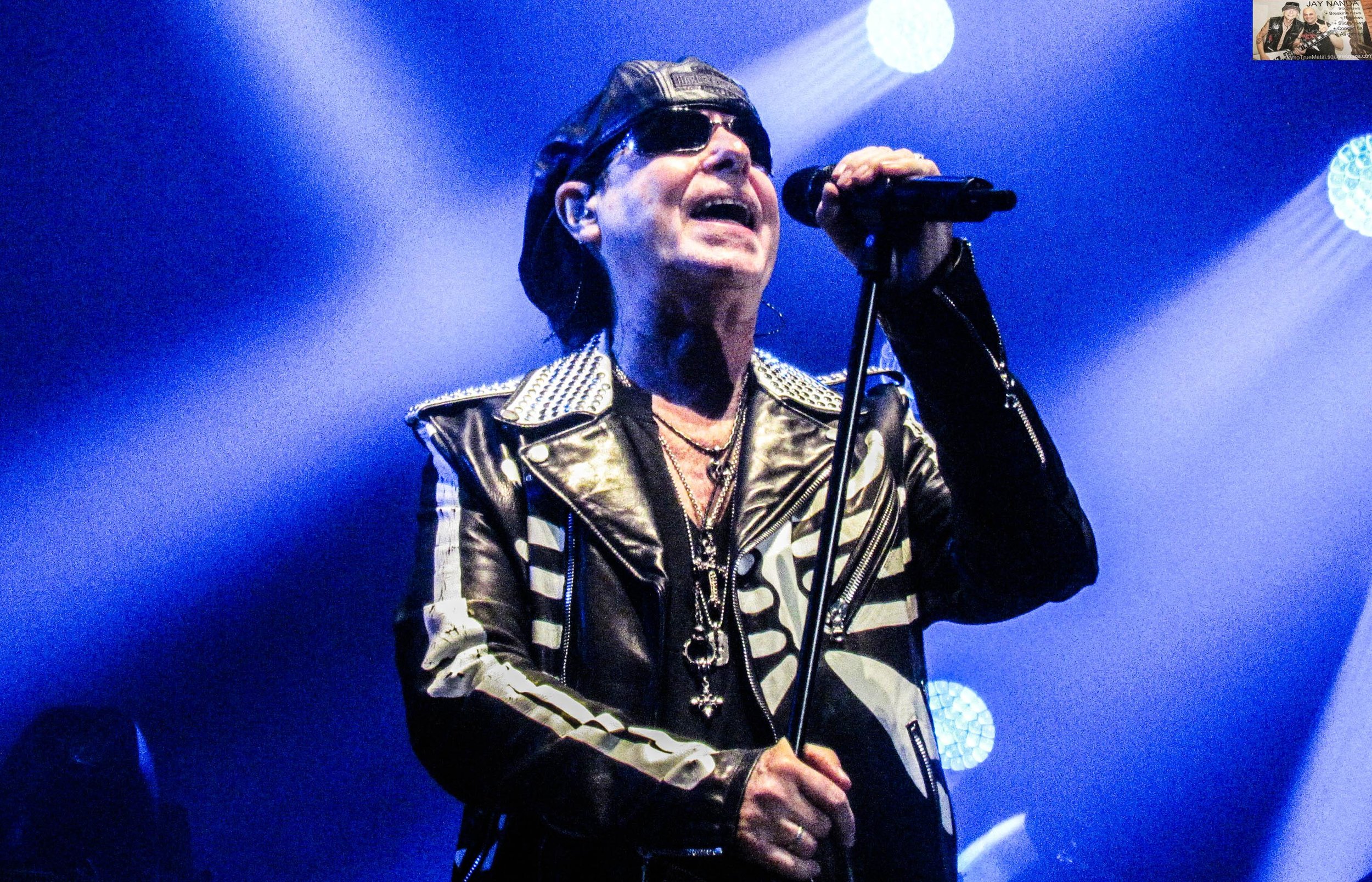 Scorpions 8.jpg