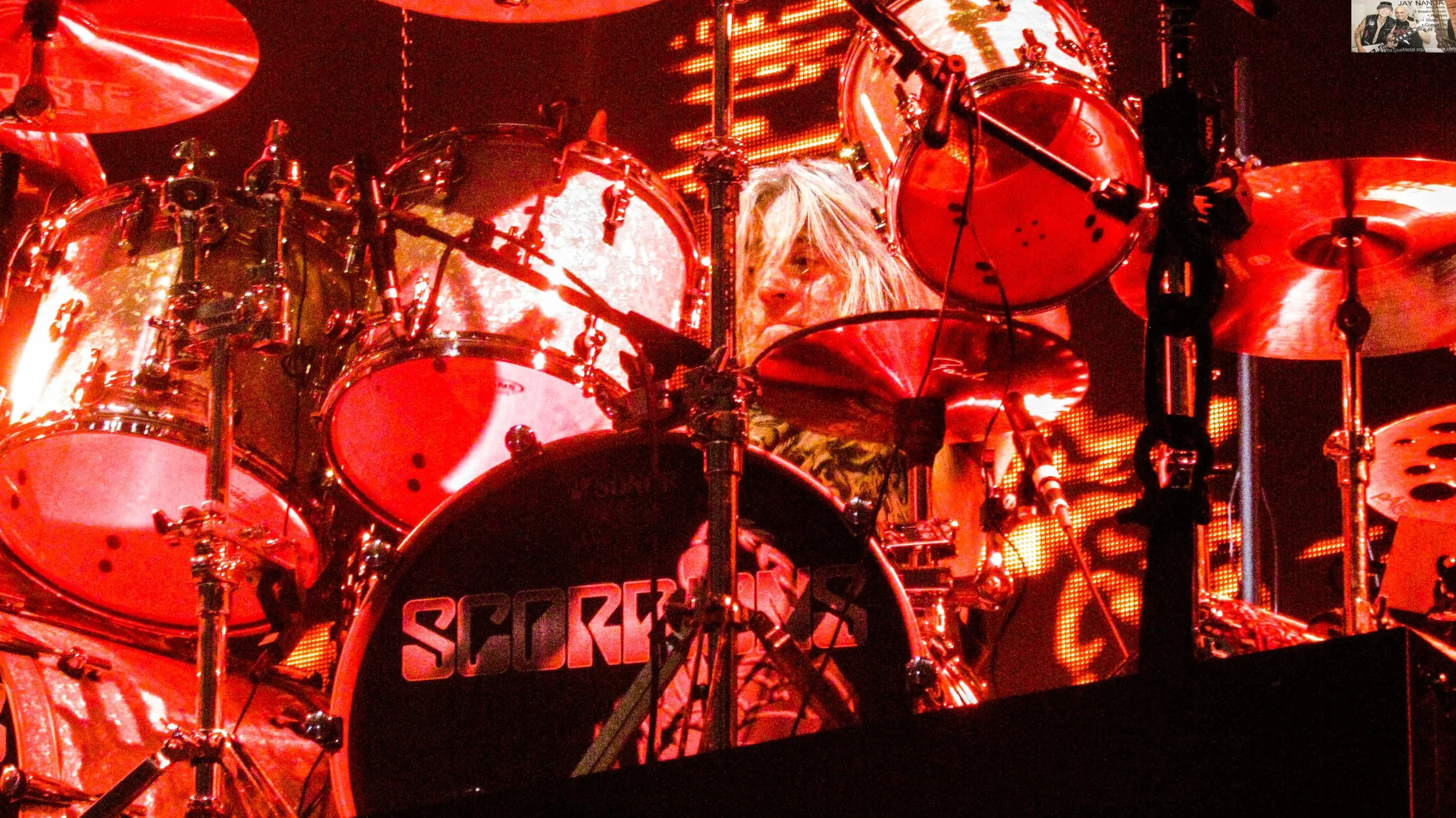 Scorpions 62.jpg