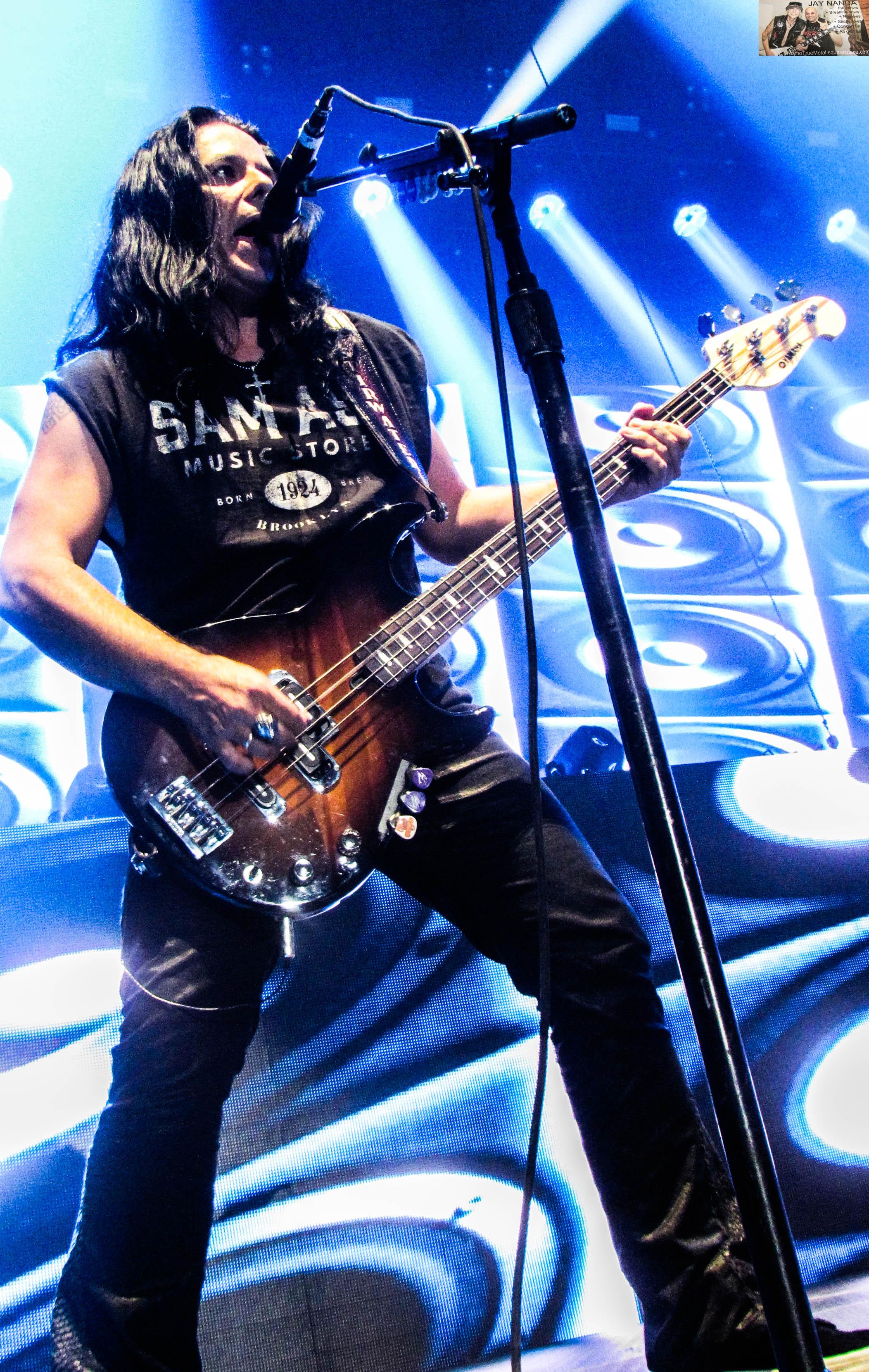 Scorpions 14.jpg