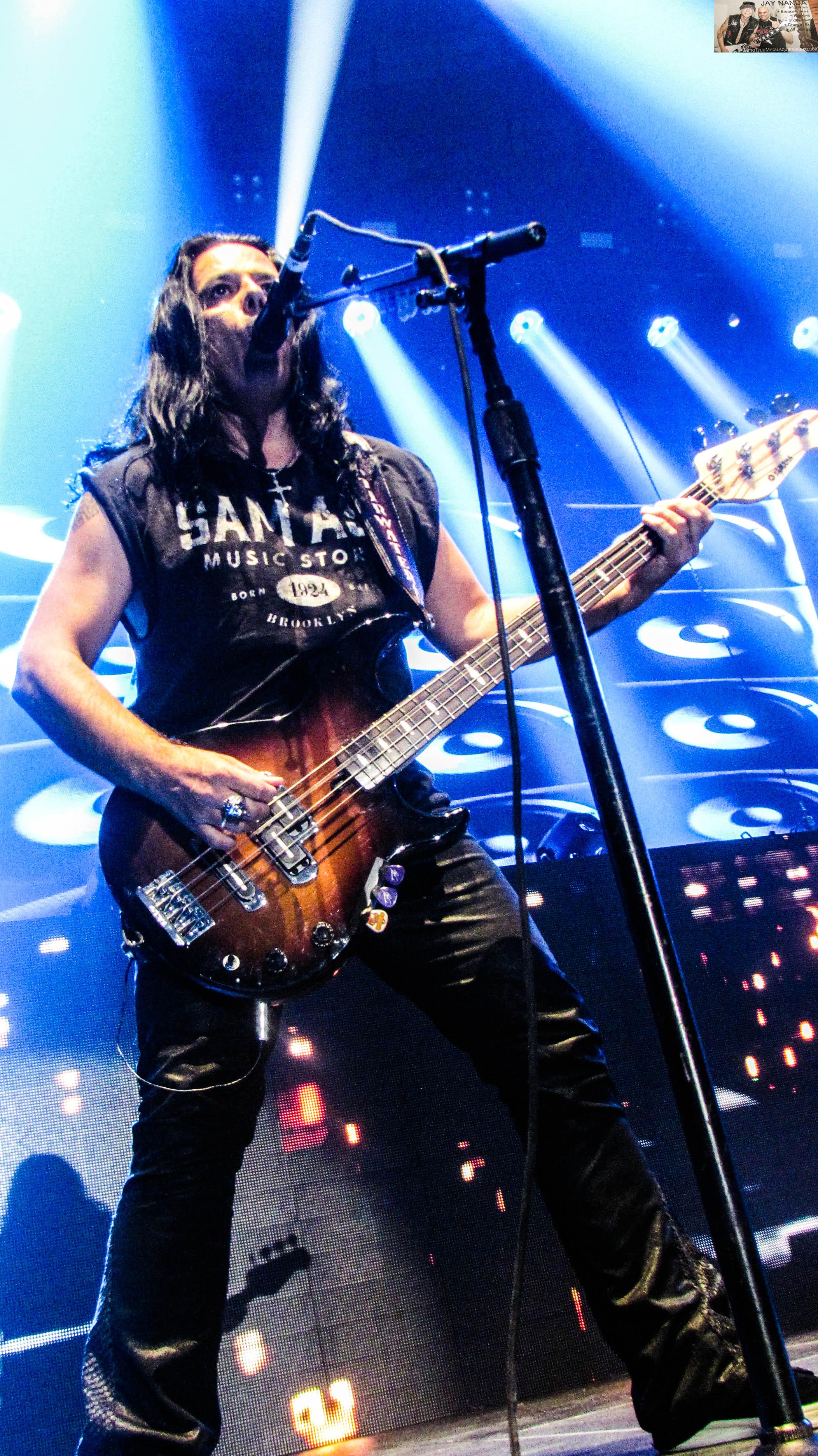 Scorpions 12.jpg