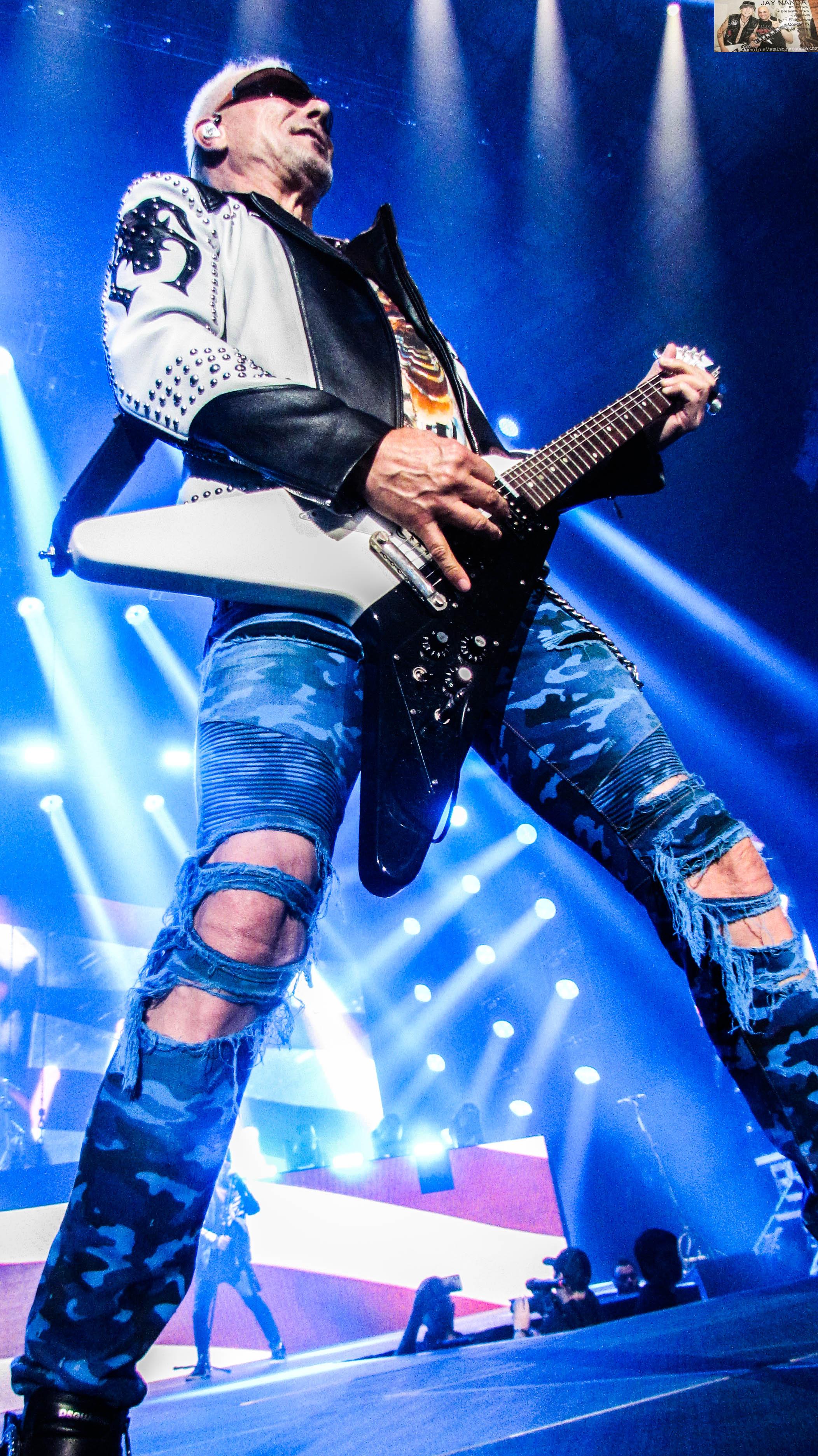 Scorpions 37.jpg