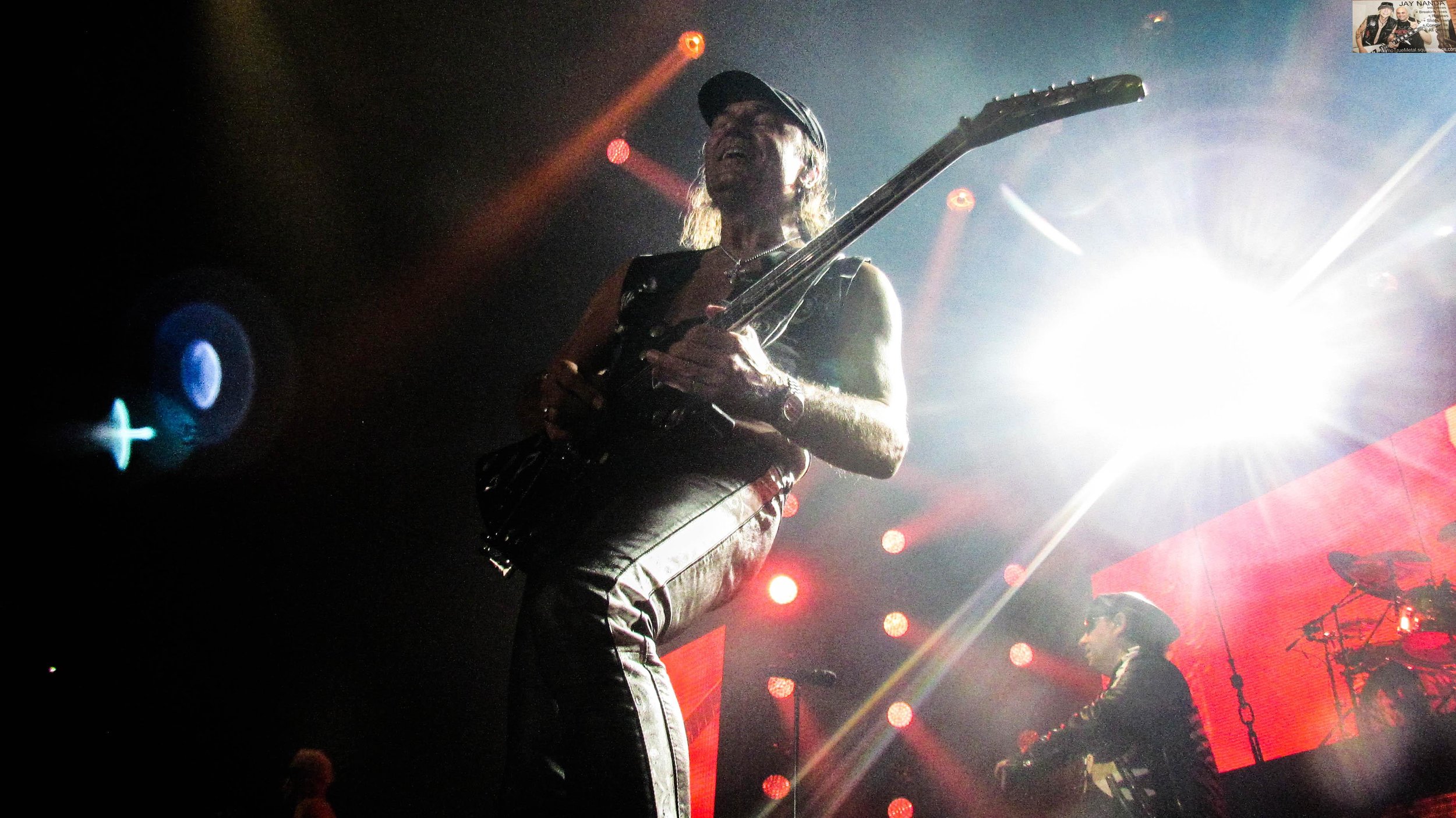 Scorpions 59.jpg