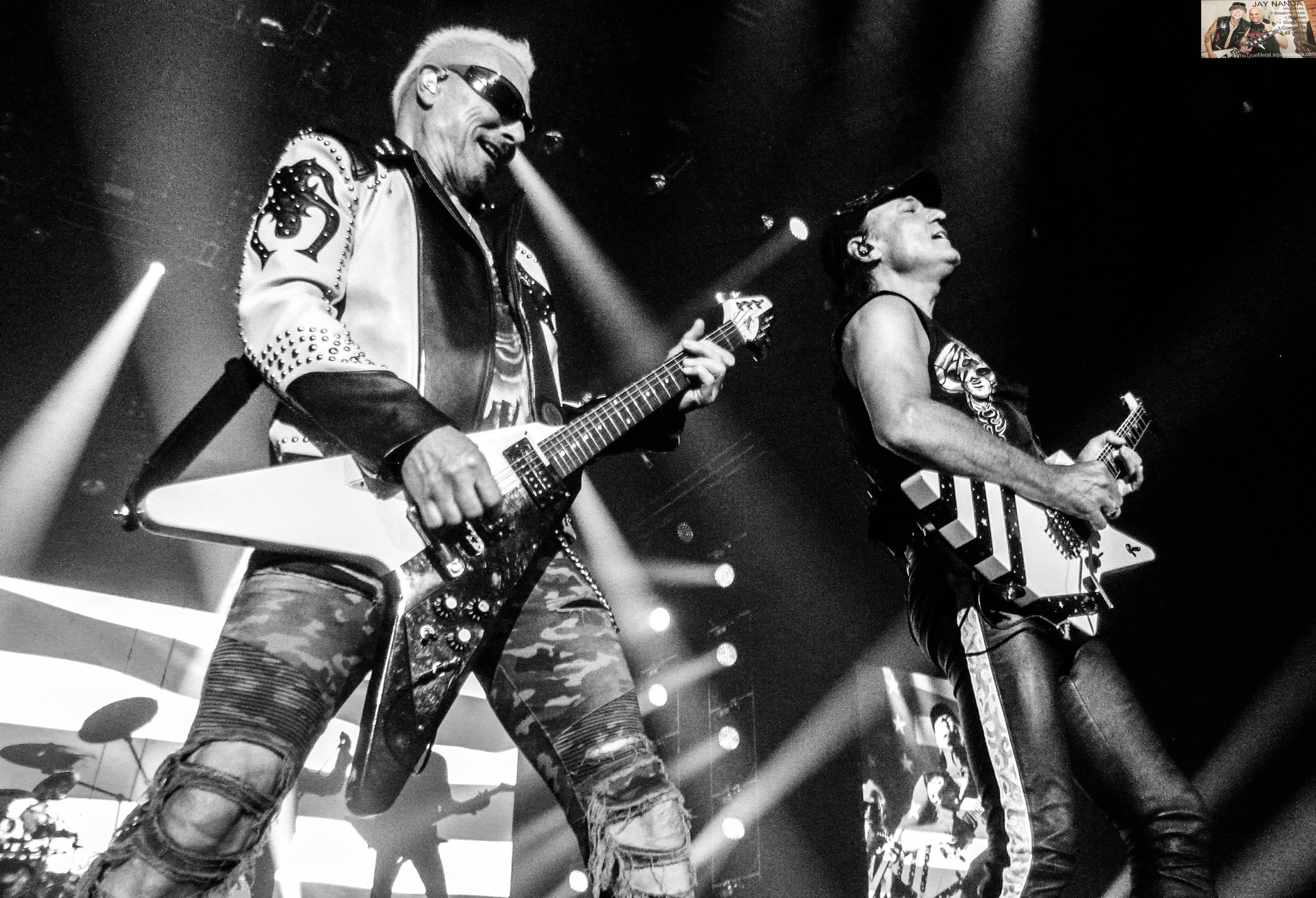 Scorpions 33.jpg