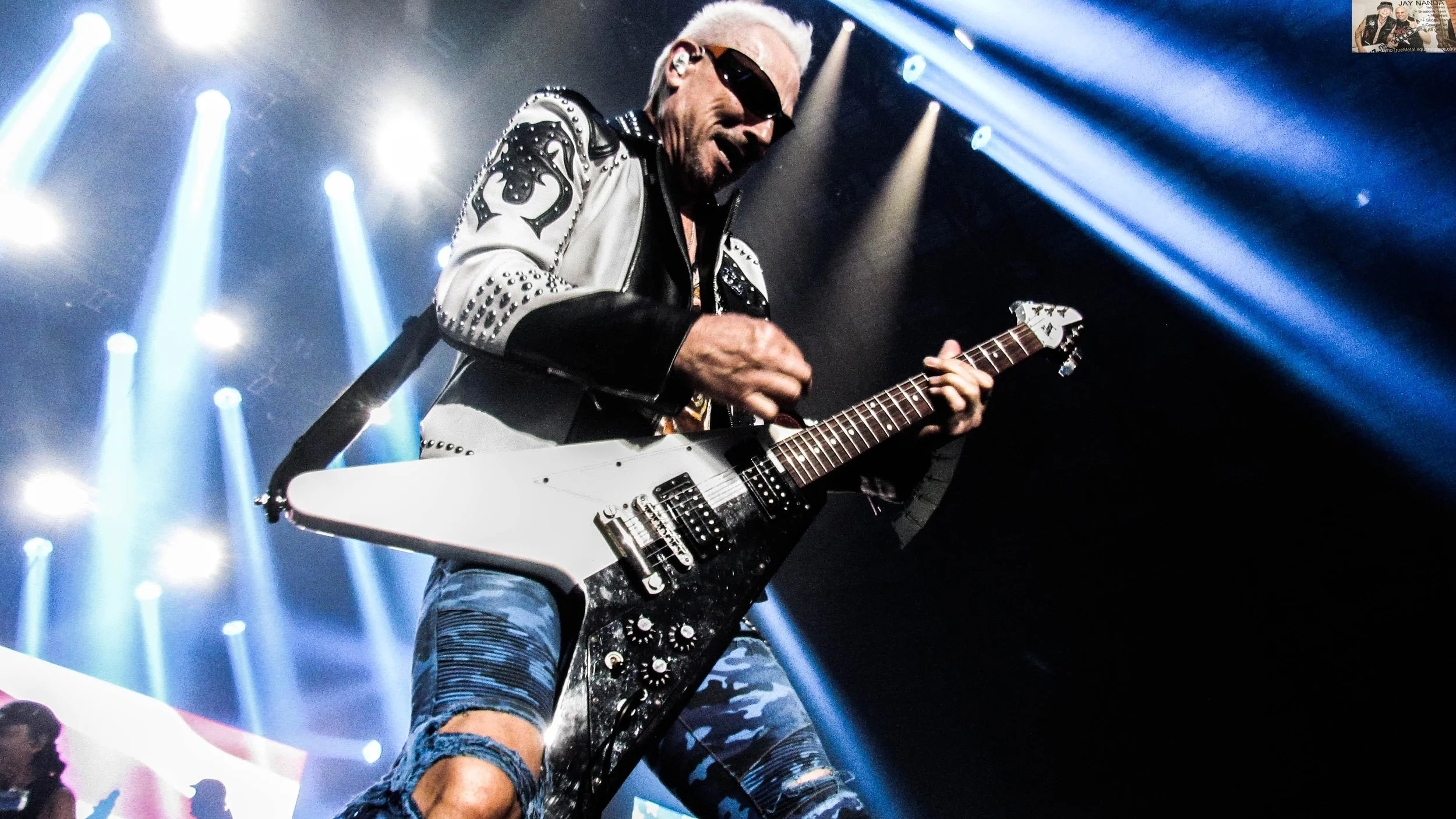 Scorpions 31.jpg