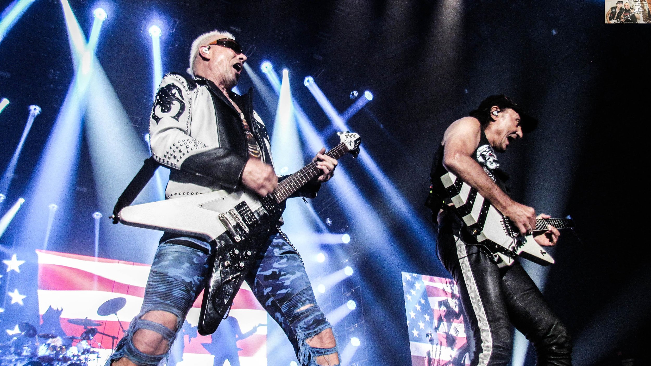 Scorpions 35.jpg