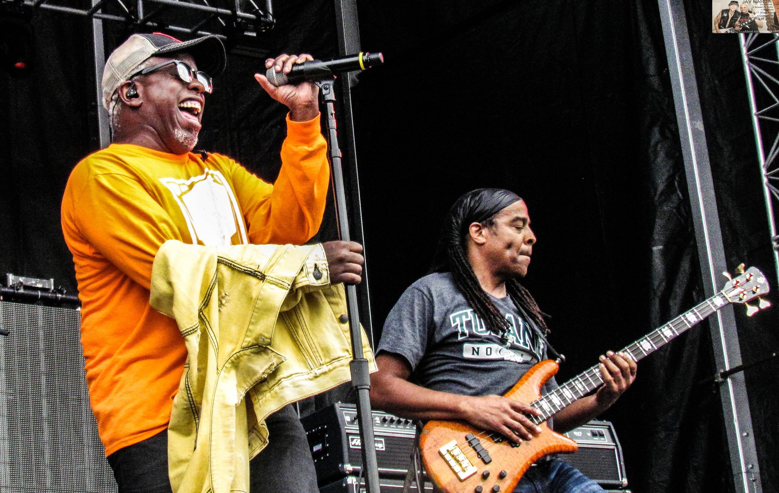 LIVING COLOUR