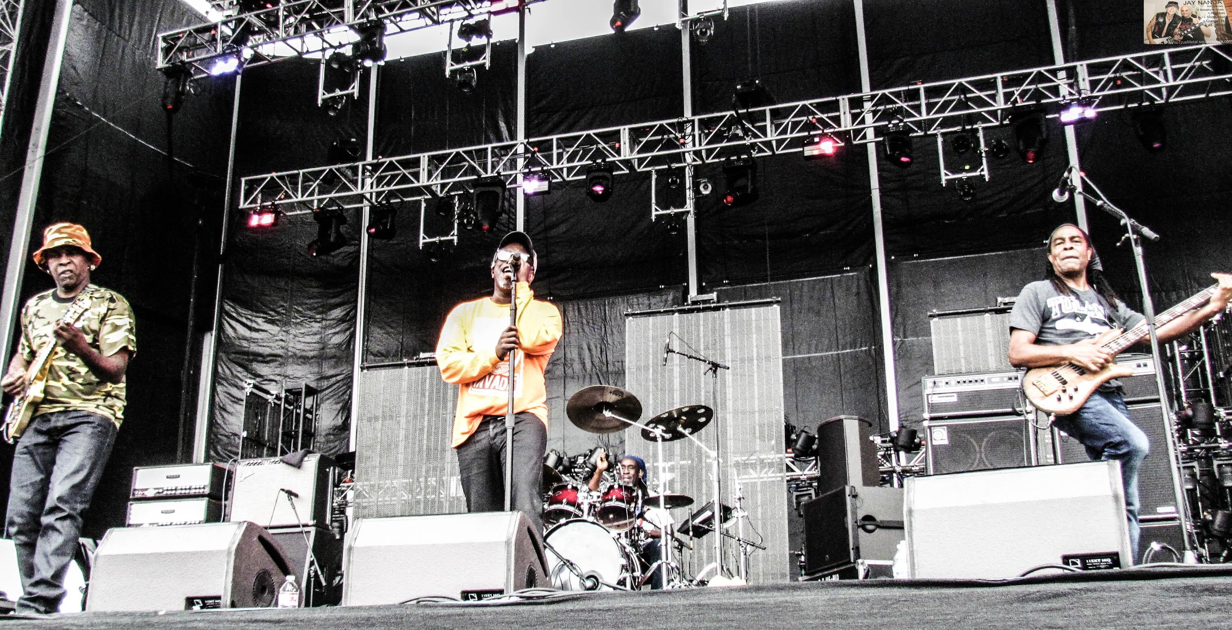 LIVING COLOUR