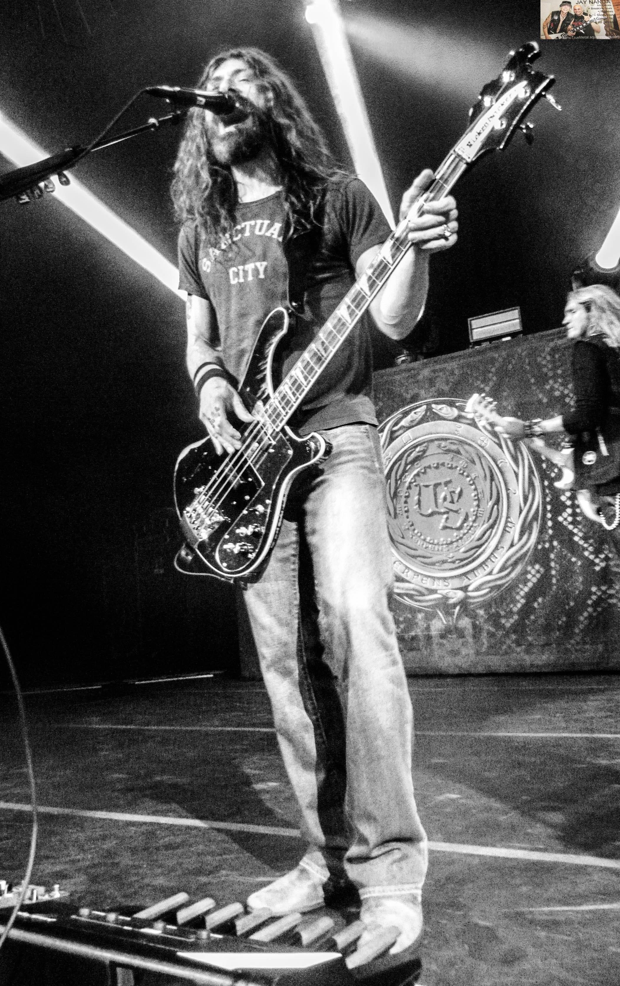 WHITESNAKE